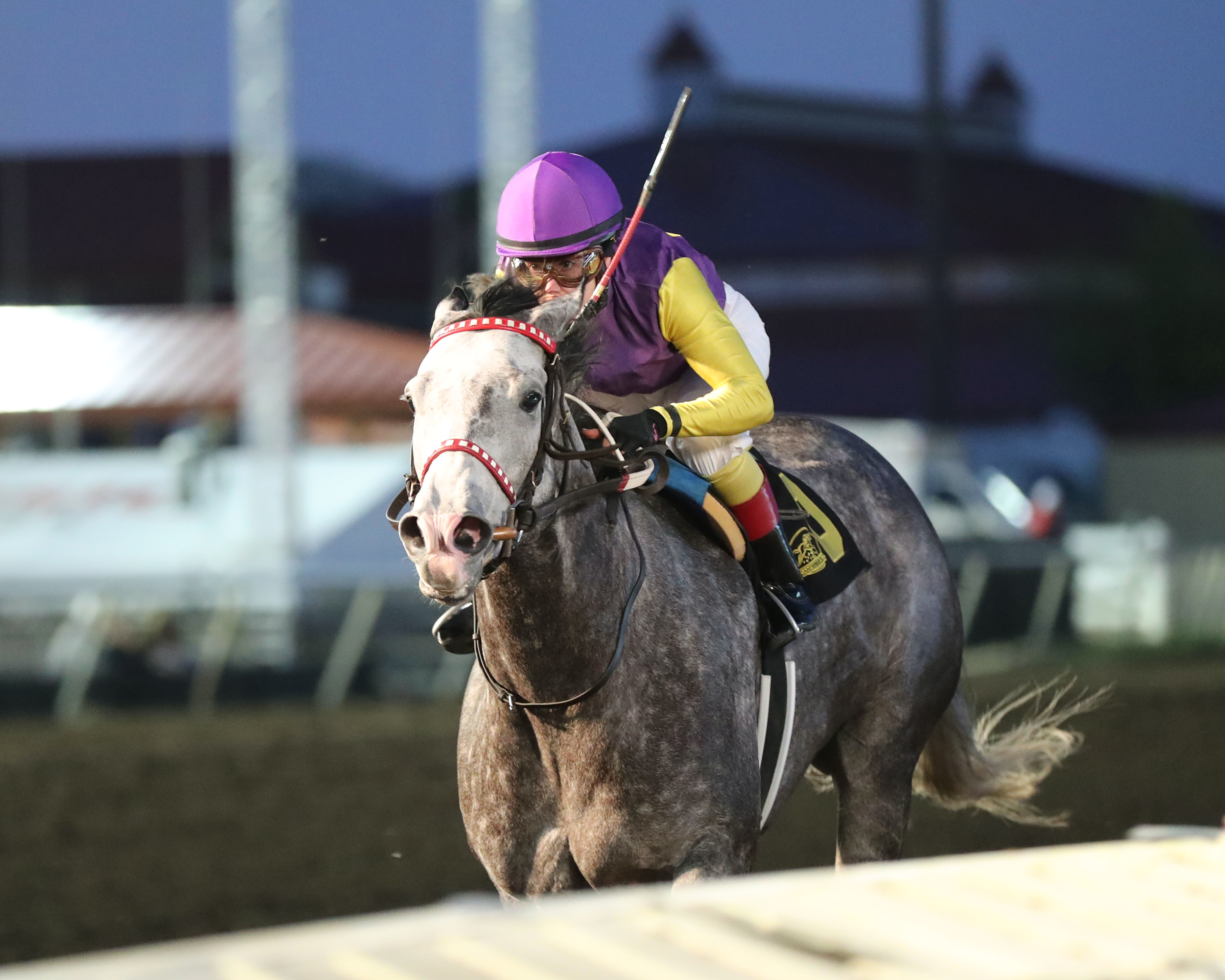 Clickbait wins the Lady Slipper at Canterbury on May 18 2022