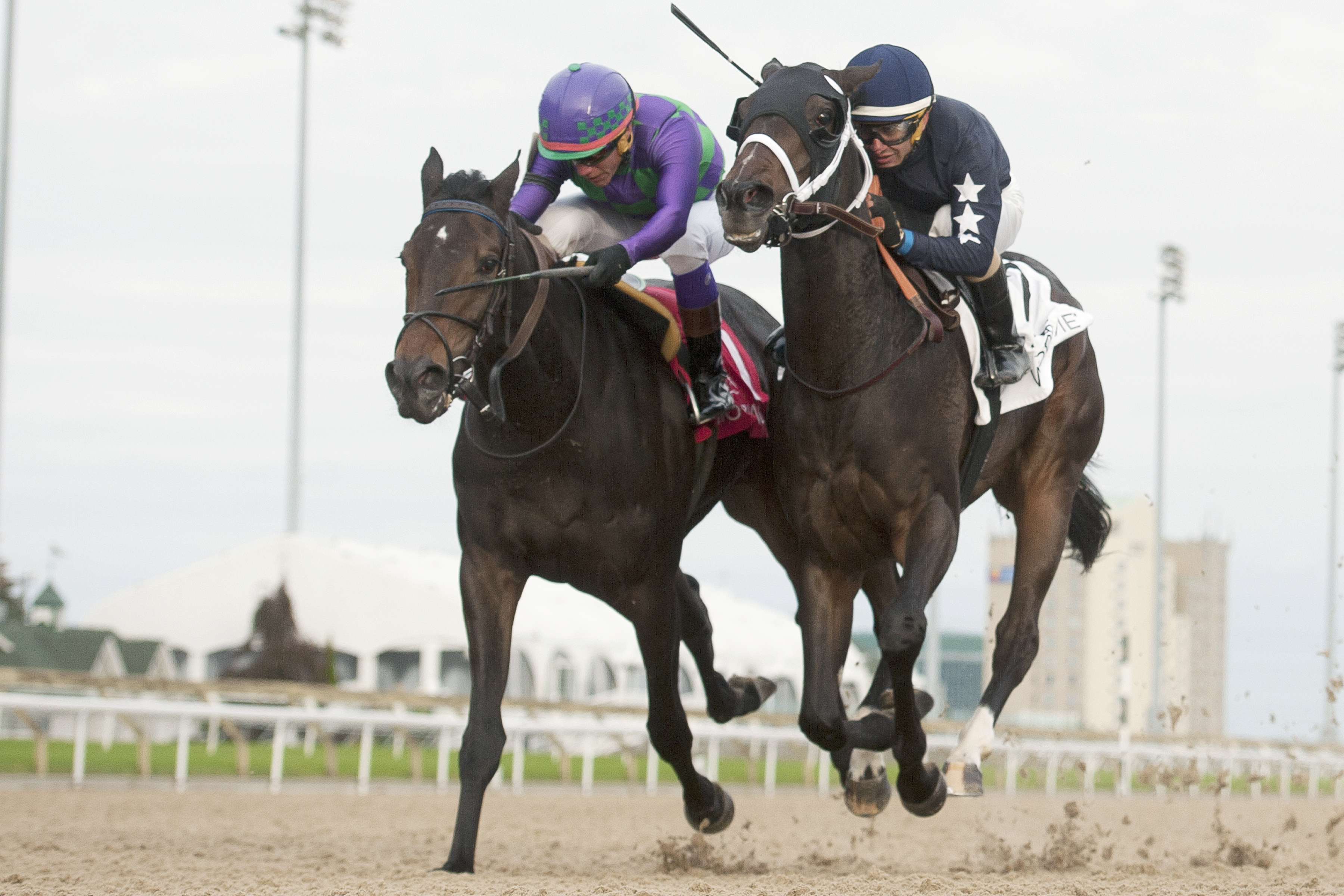 Clickity Clack wins the 2017 Princess Elizabeth