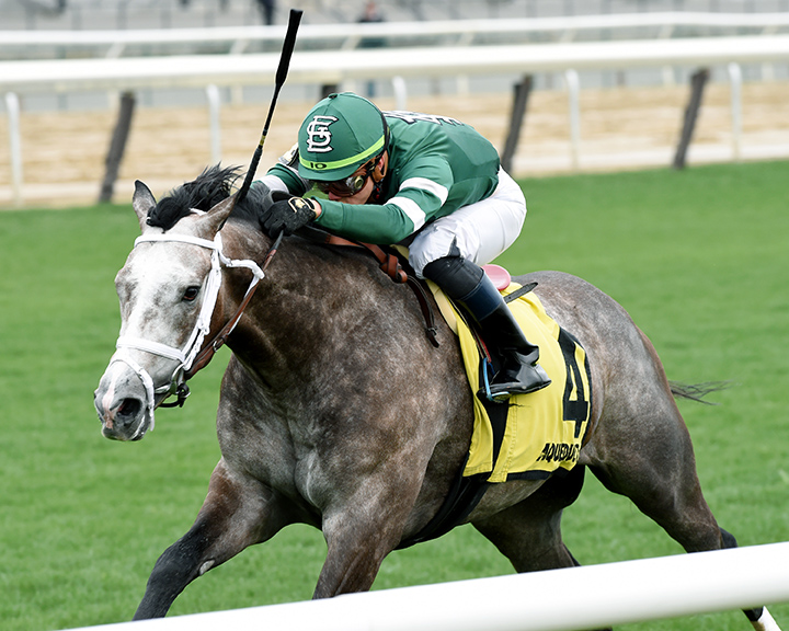 Clint Maroon wins the Woodhaven Stakes