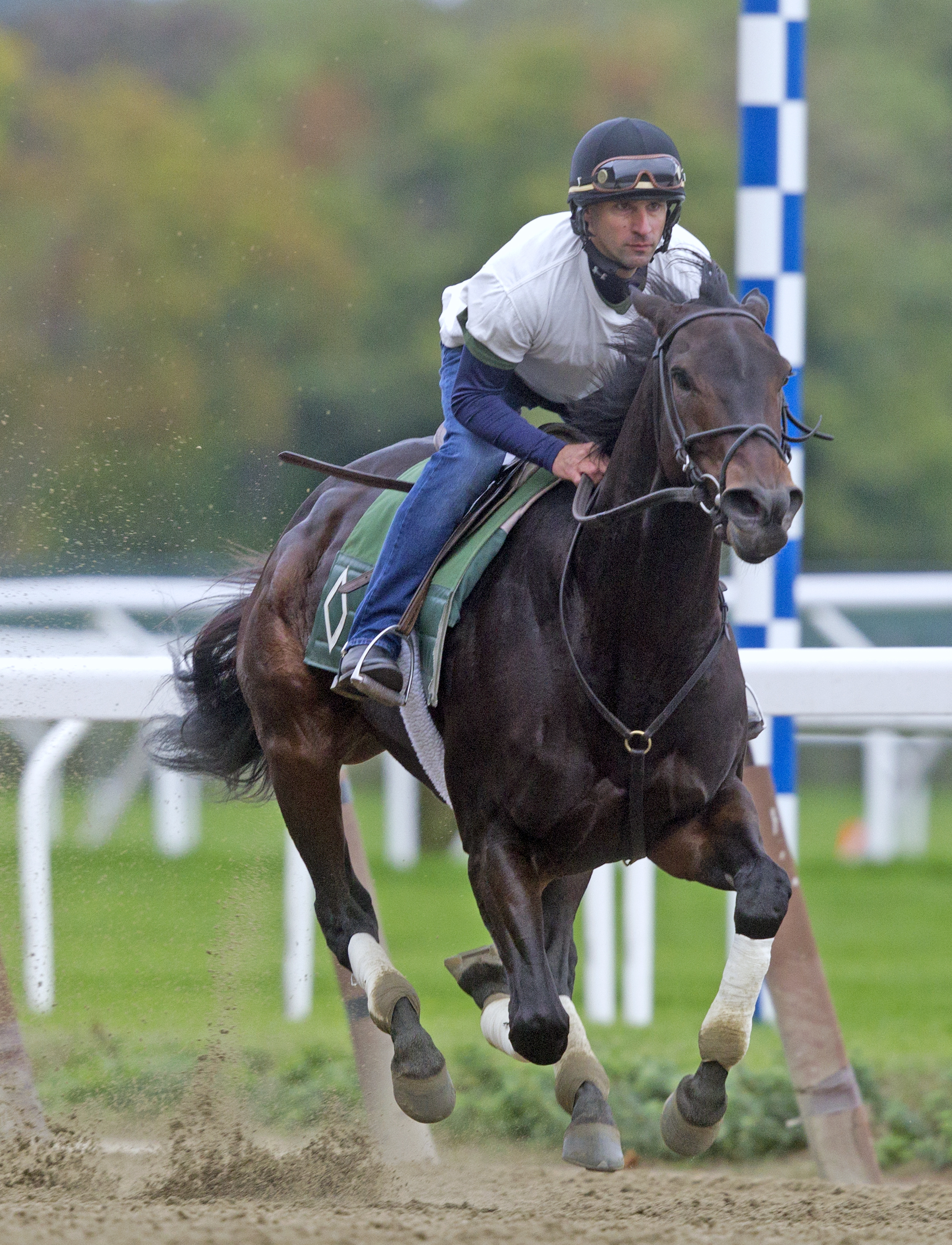 Close Hatches works Oct 19 at Belmont
