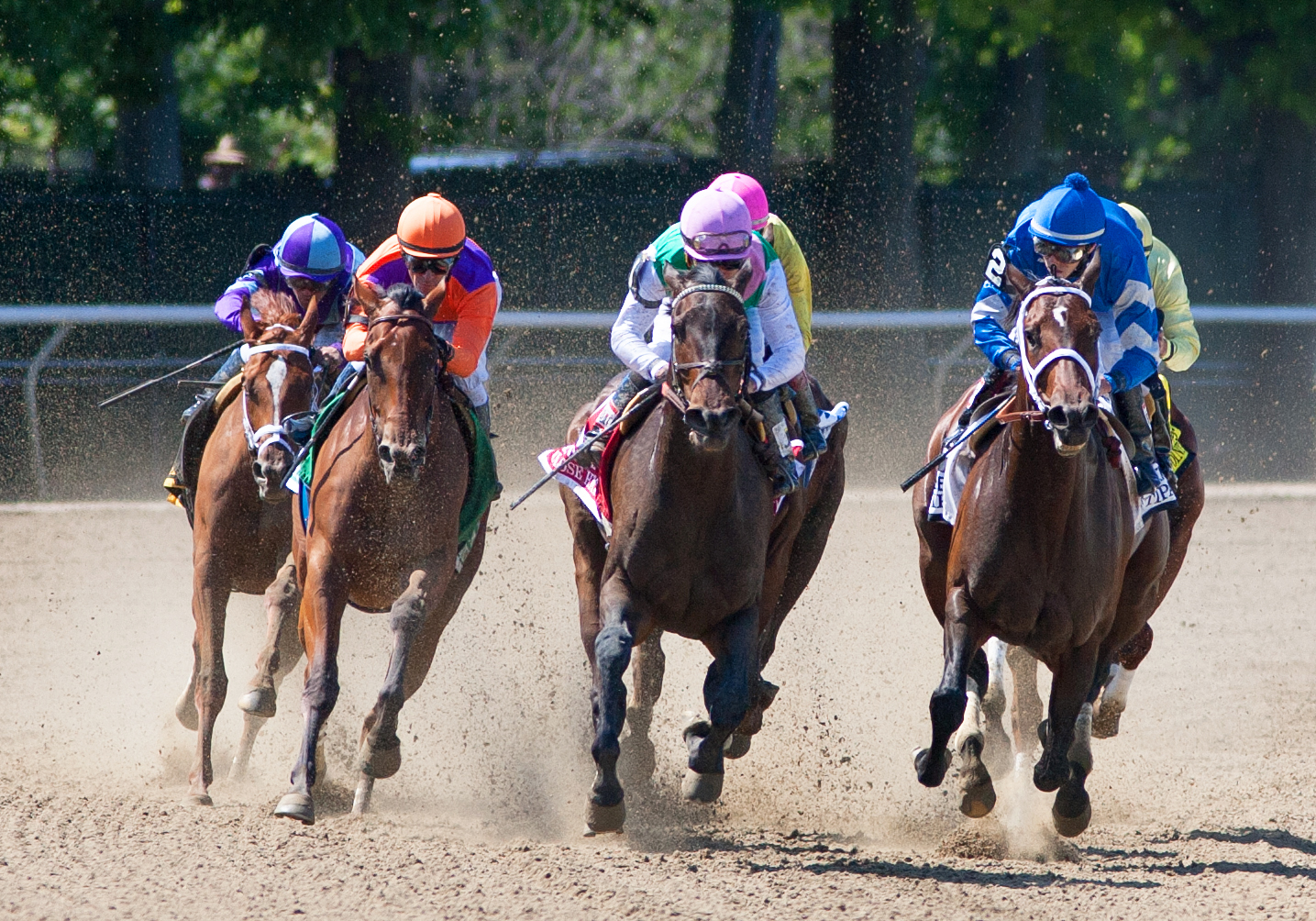 Beholder in the Ogden Phipps