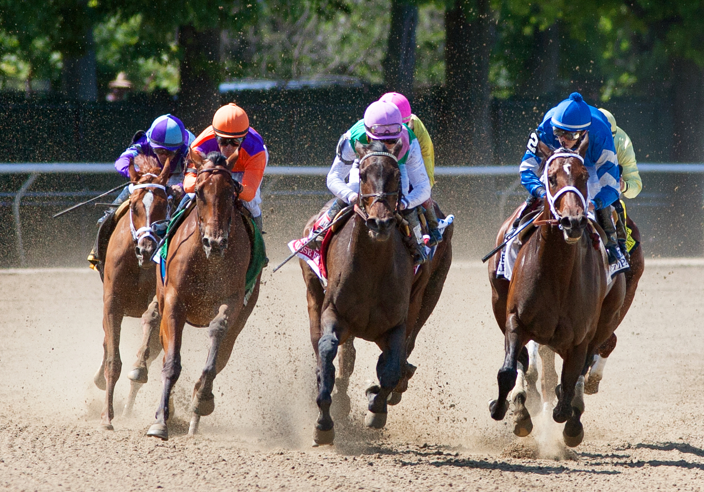 Beholder finishes fourth in the Ogden Phipps