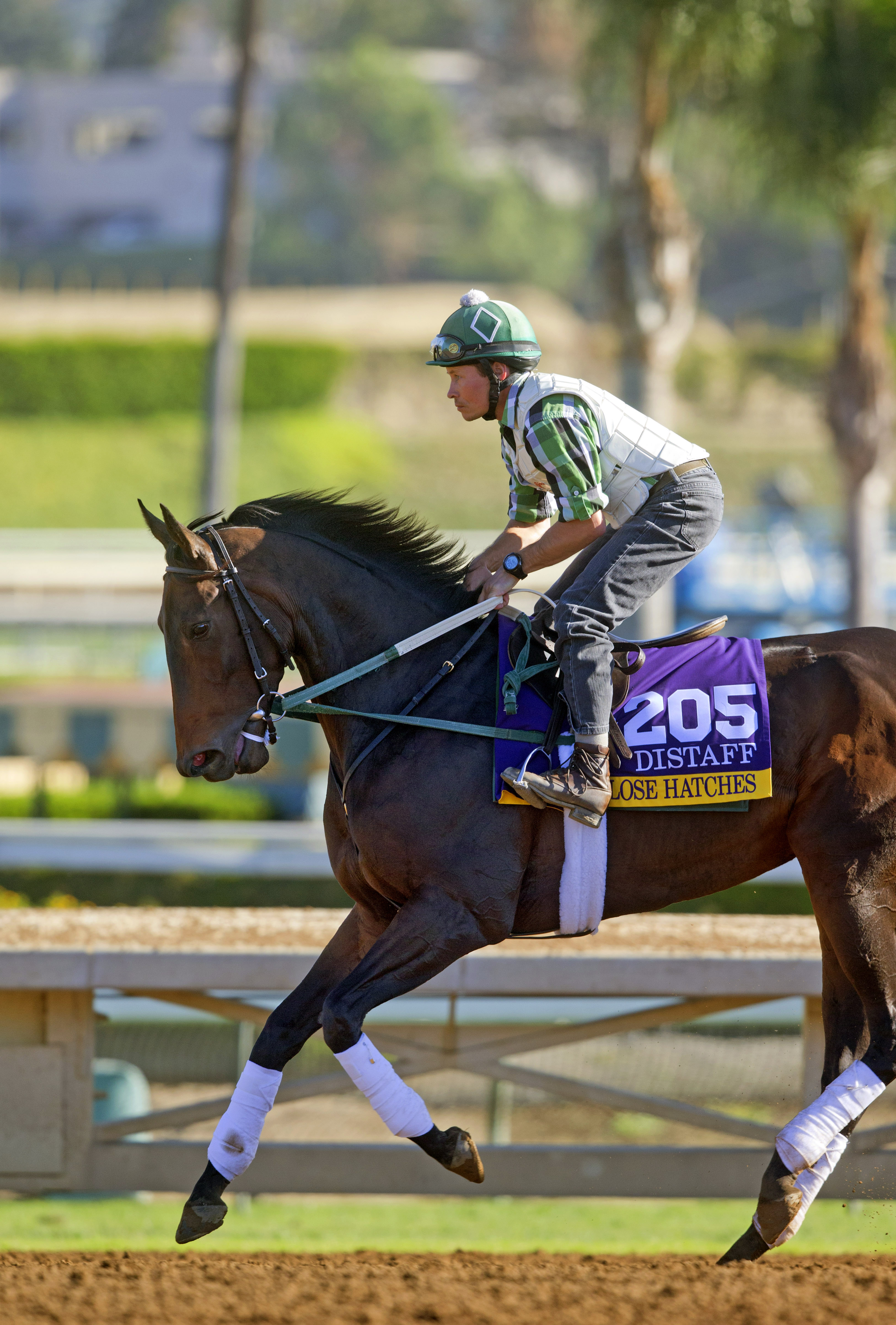 Close Hatches at Santa Anita on Oct. 29