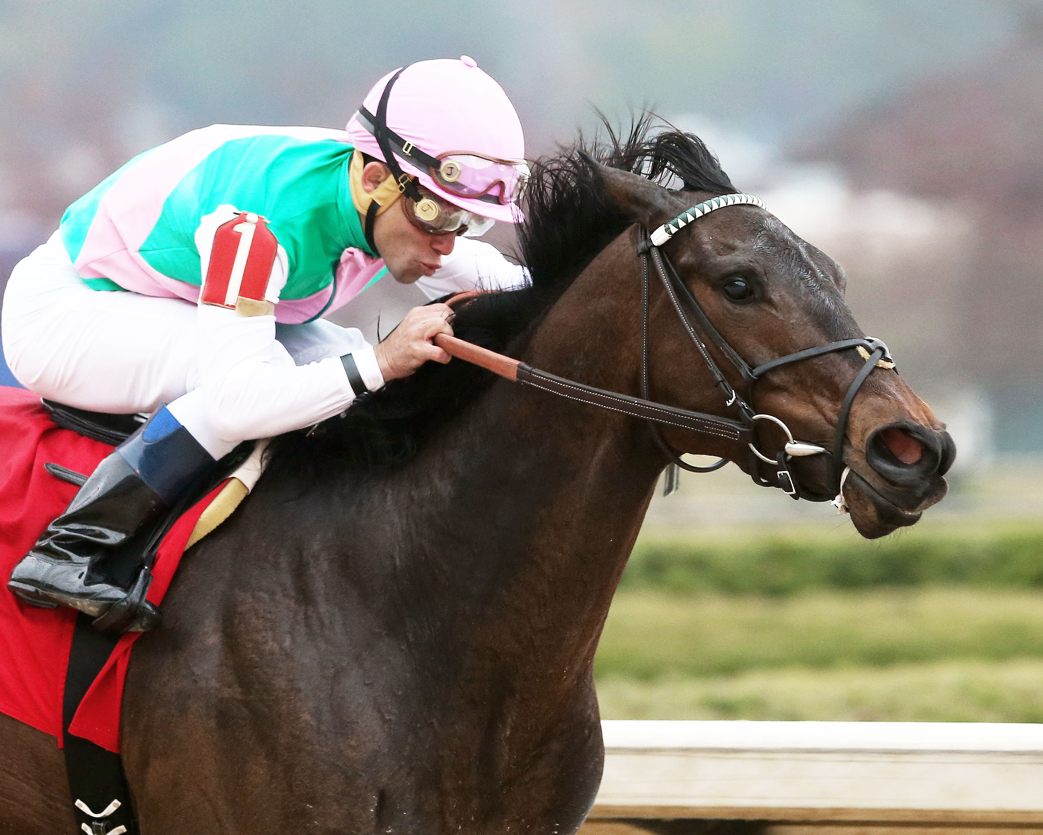 Close Hatches wins the Azeri