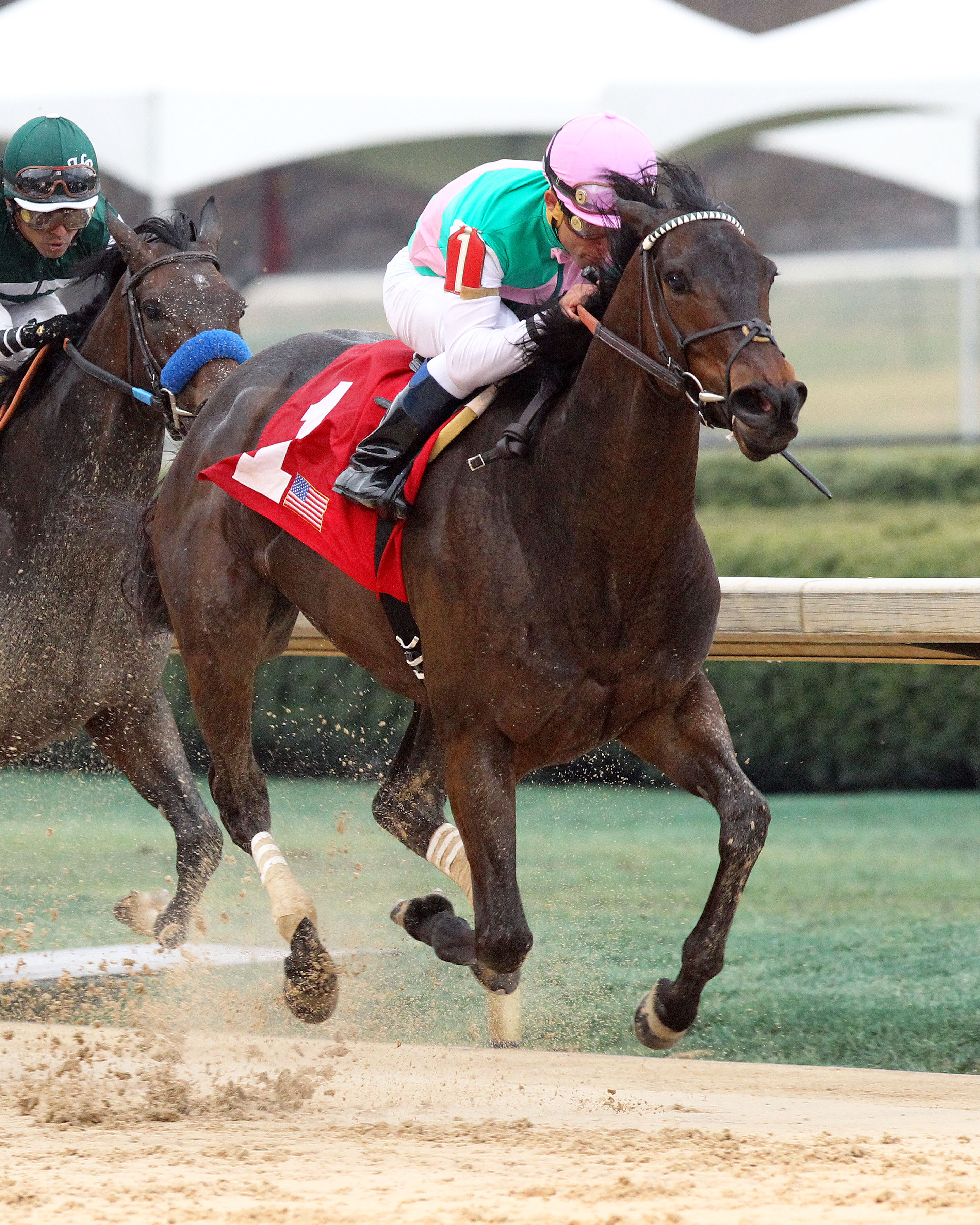 Close Hatches wins the Azeri