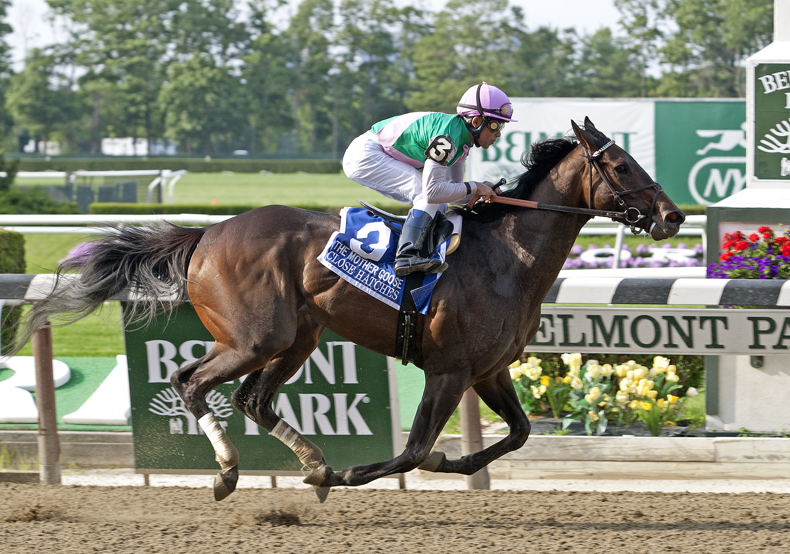 Close Hatches, Mother Goose Stakes