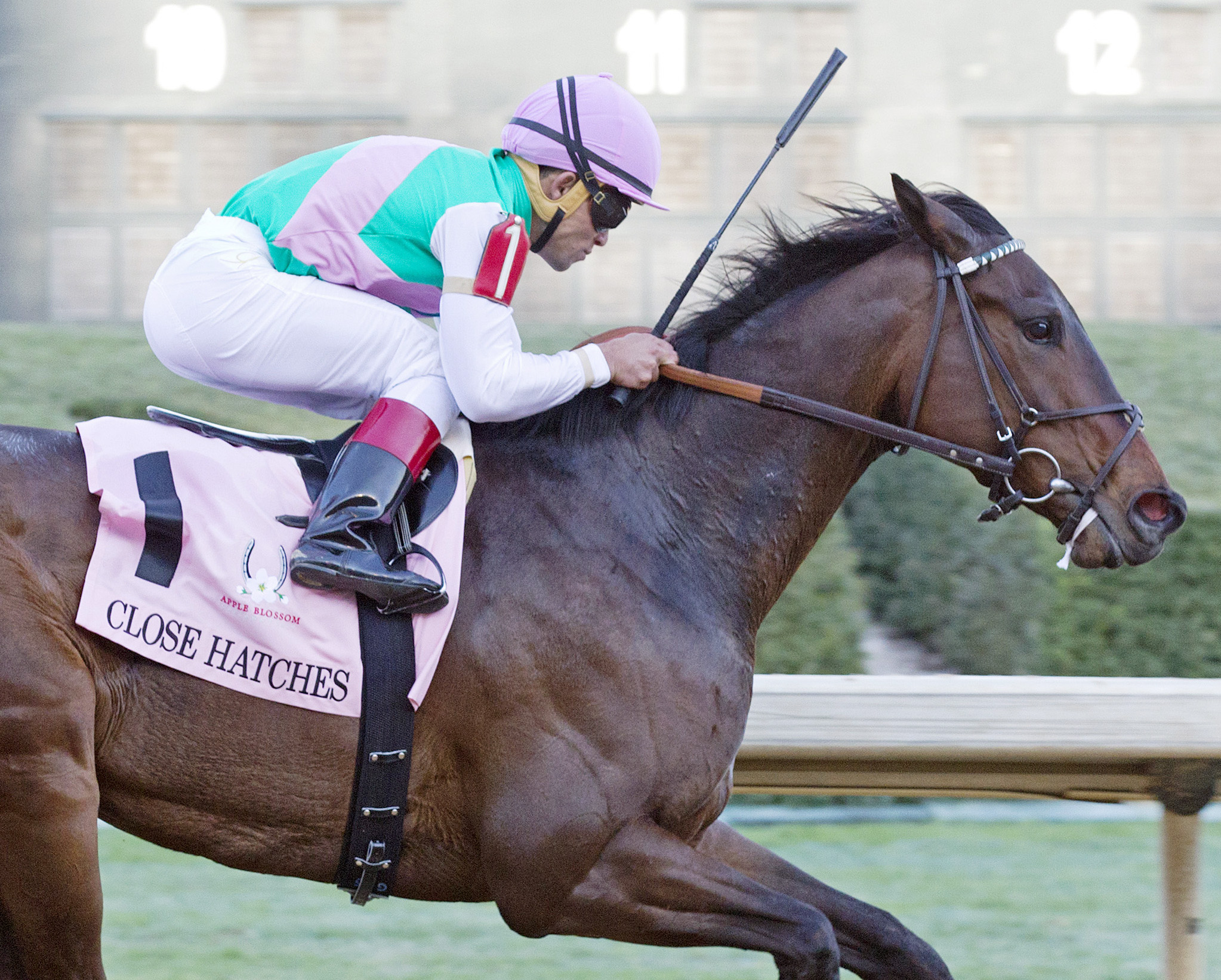 Close Hatches wins the Apple Blossom
