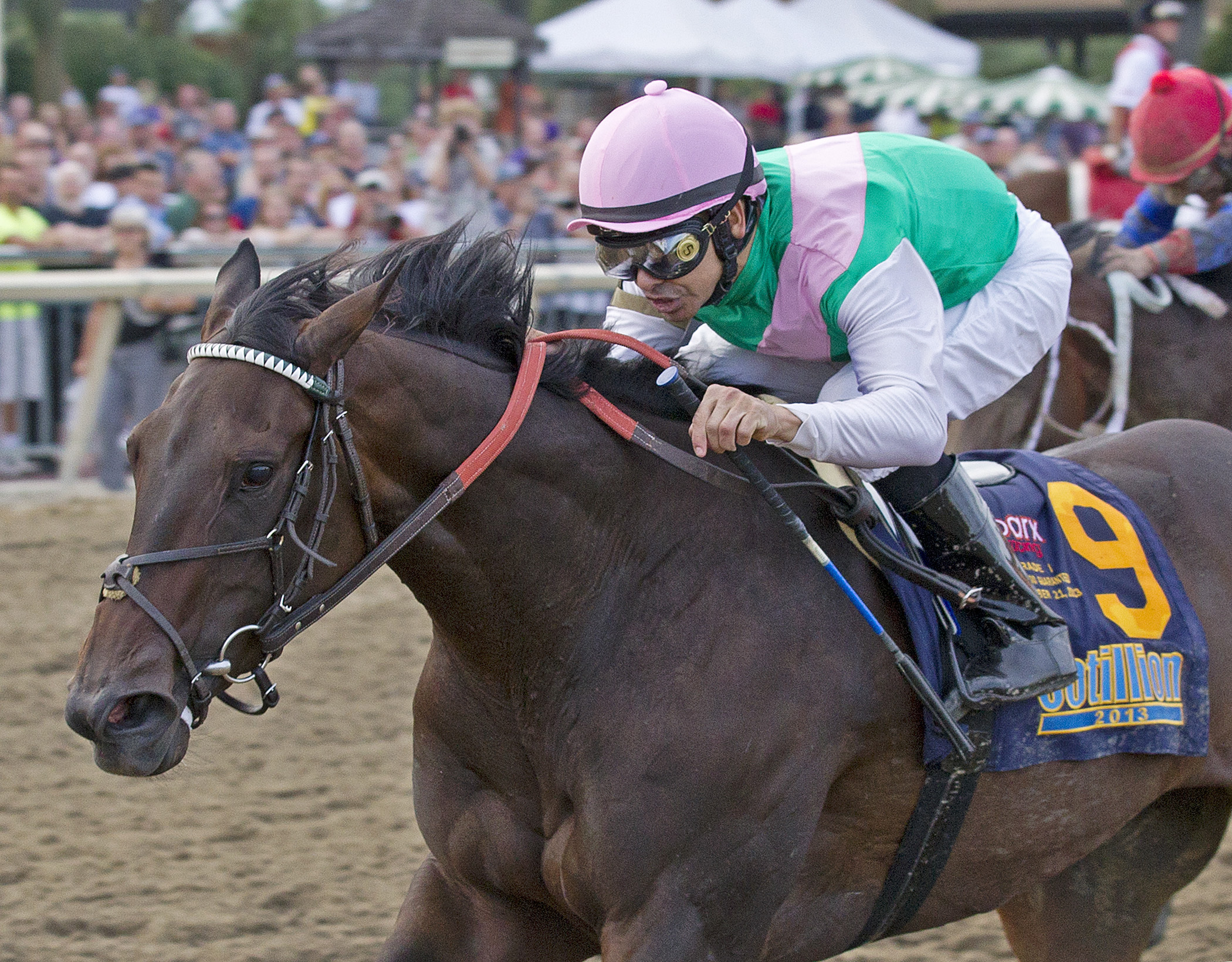 Close Hatches wins the Cotillion