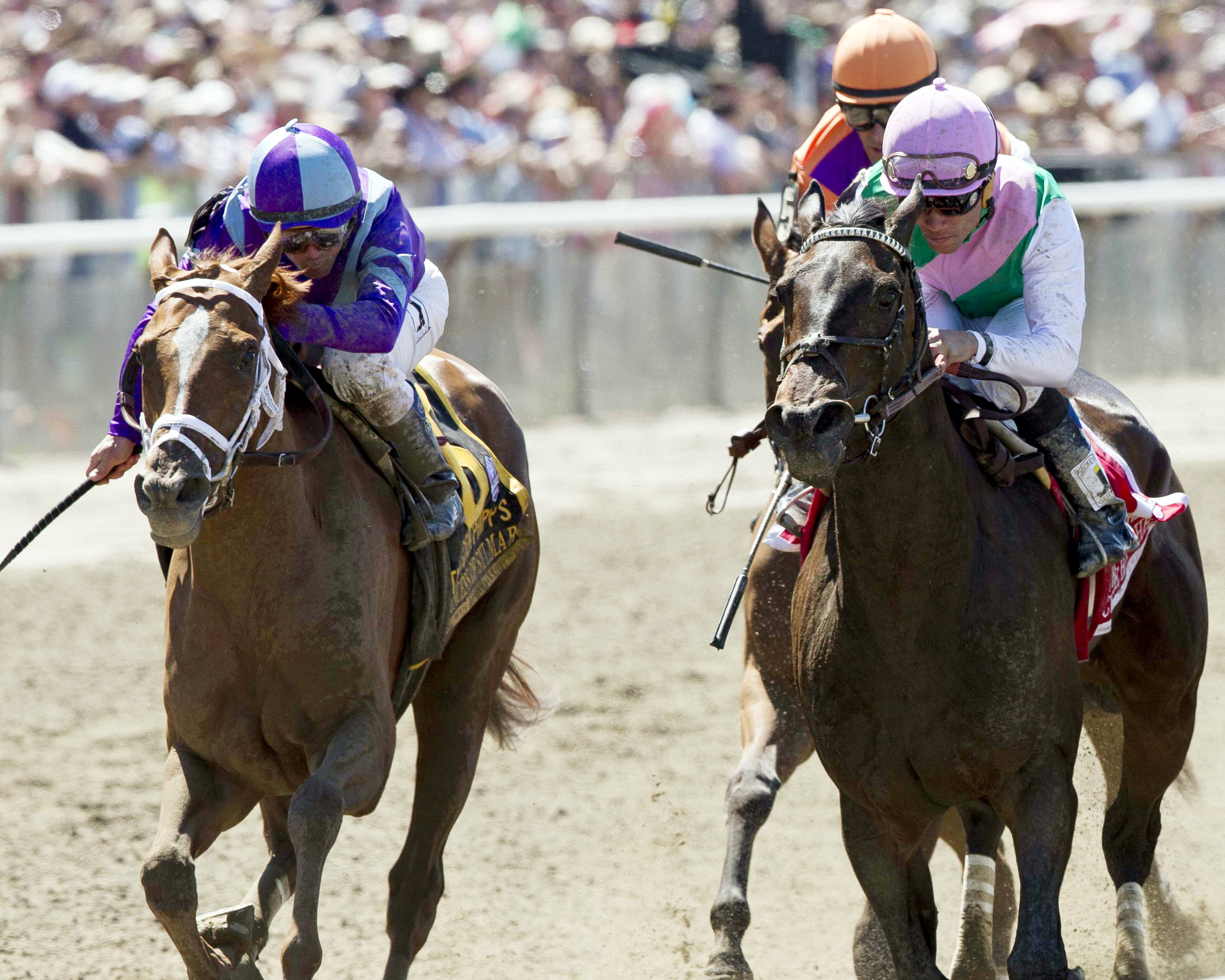 Princess of Sylmar in the Ogden Phipps