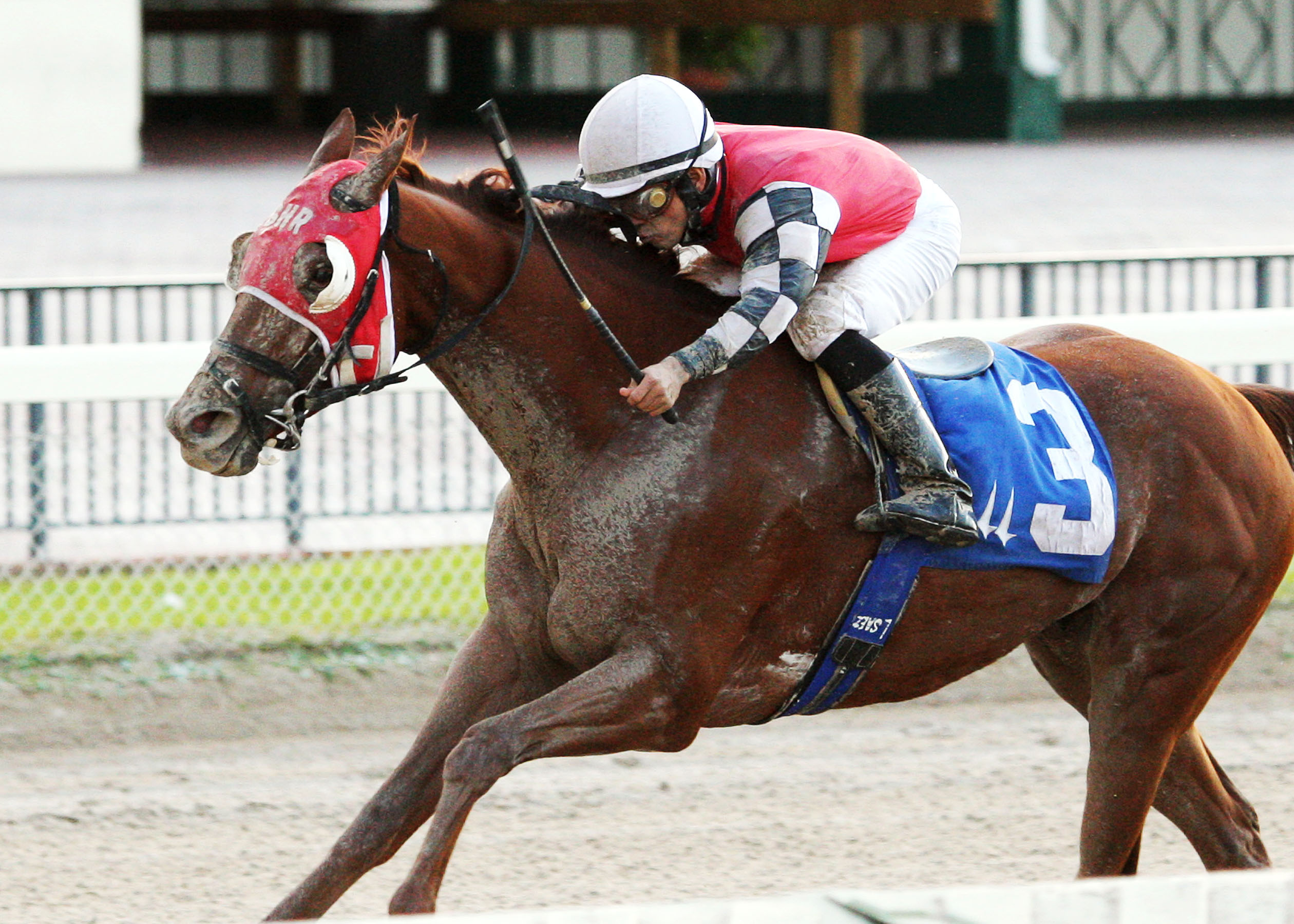 Close It Out/Jack Dudley Sprint Handicap