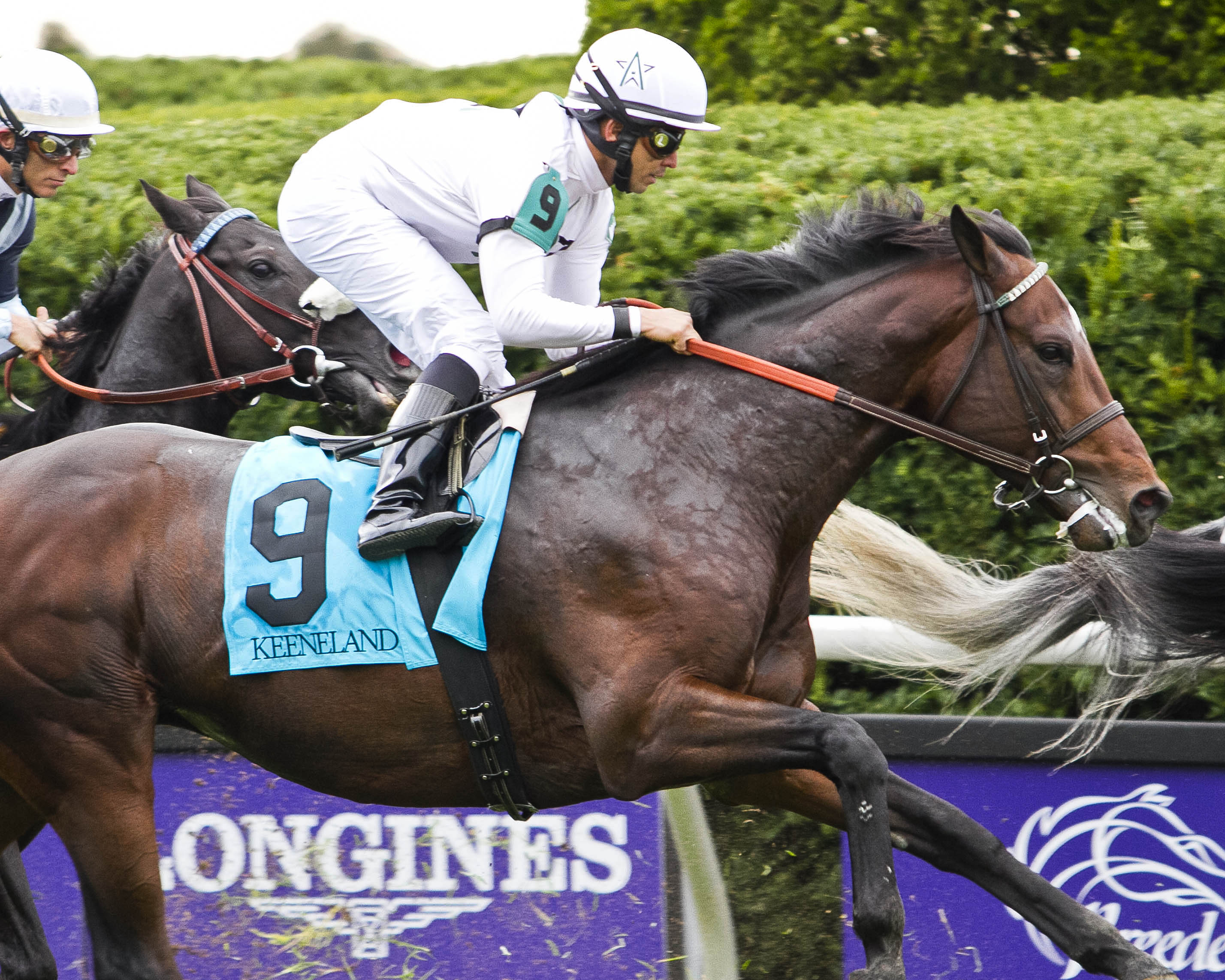 Closing Bell finishes second in the 2015 Bryan Station Stakes