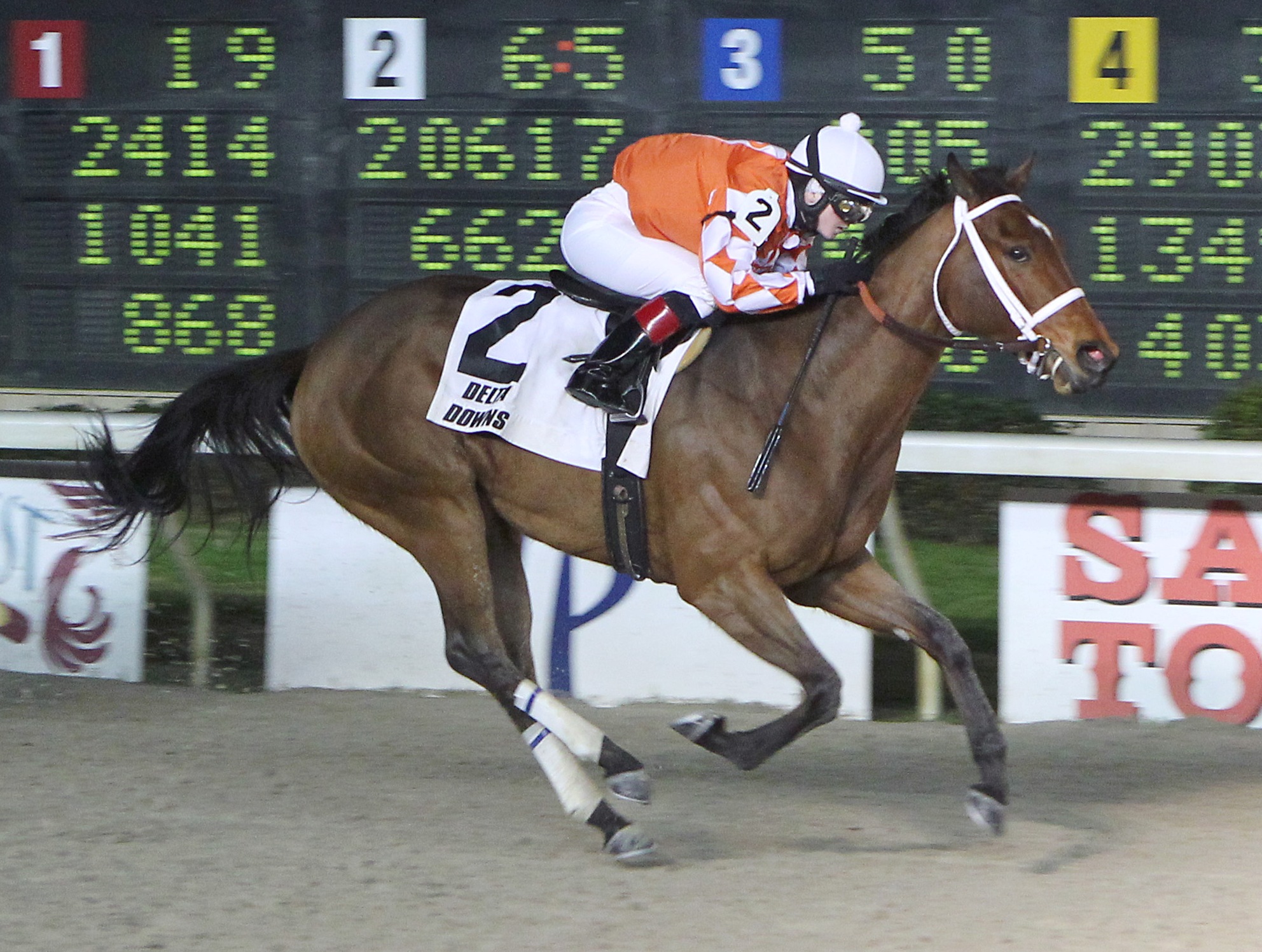 Closing Report, Azalea Stakes