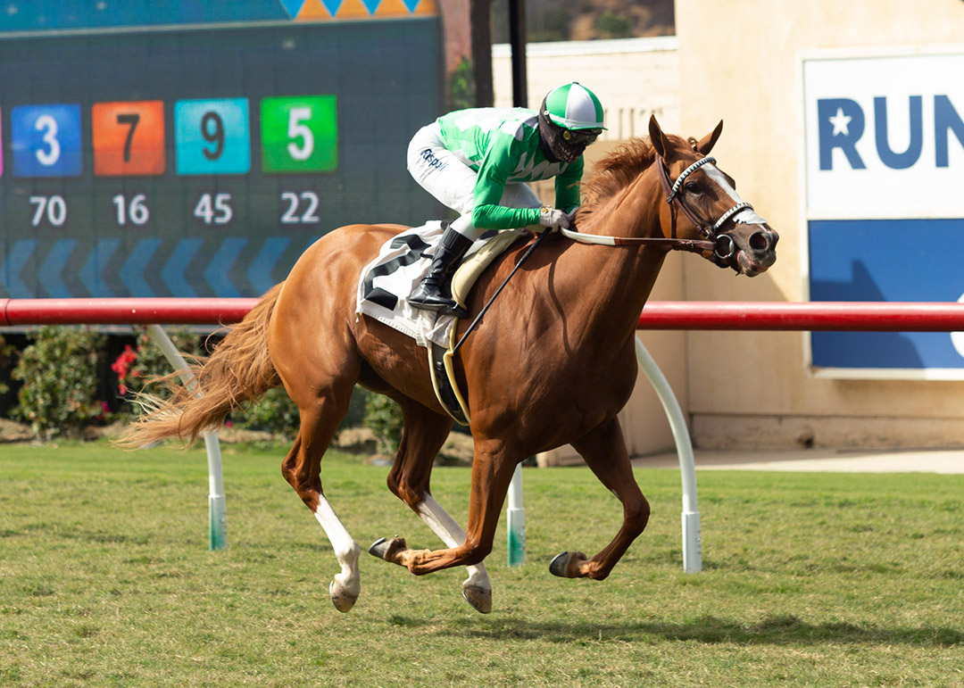 Closing Remarks wins an Aug. 31 maiden race at Del Mar