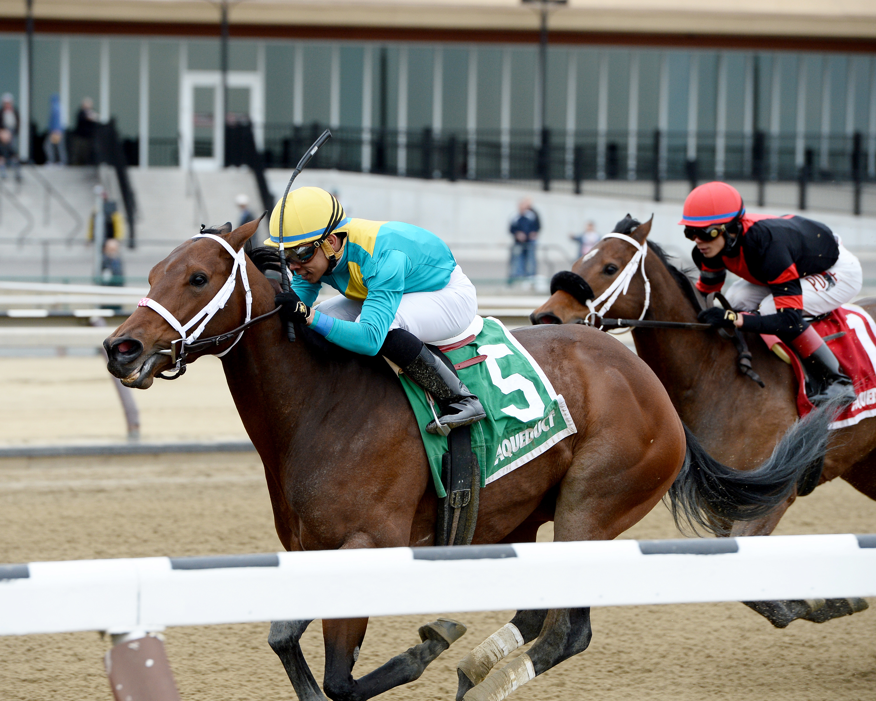 Clothes Fall Off wins the 2016 Correction Stakes