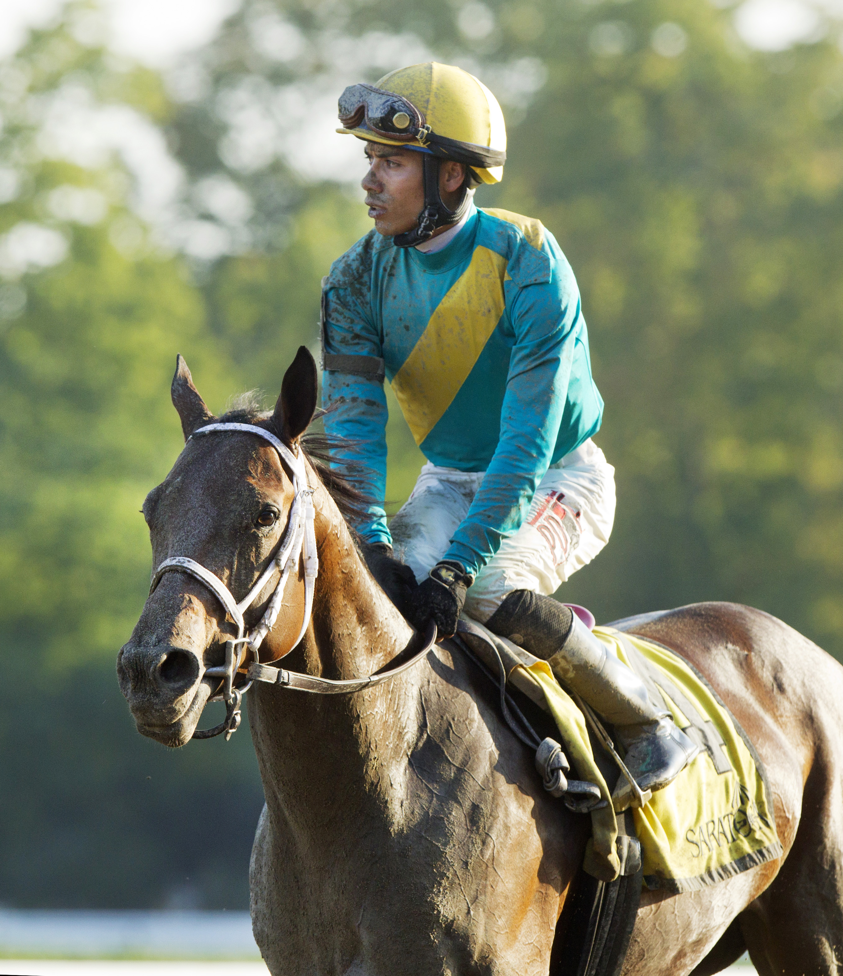 Clothes Fall Off after finishing seventh in the Prioress