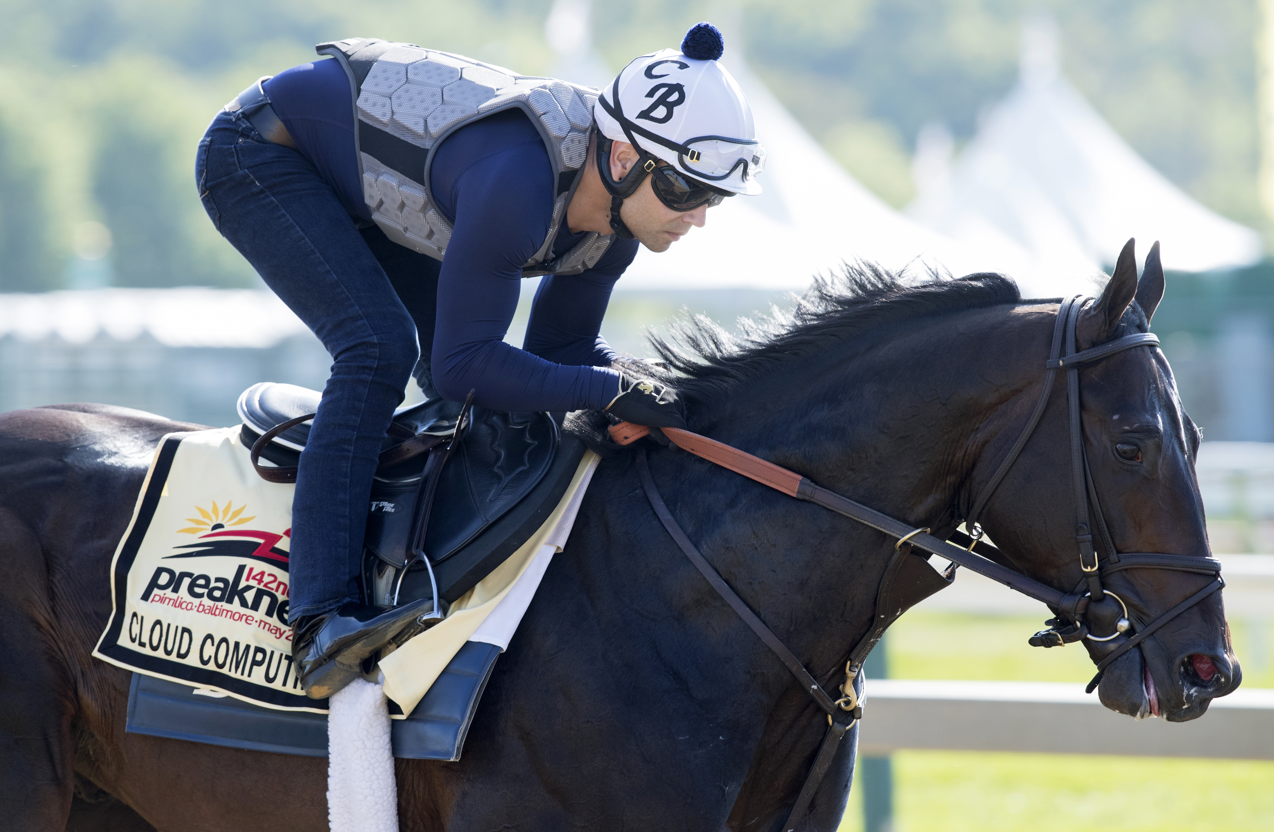 Cloud Computing trains at Pimlico on May 17
