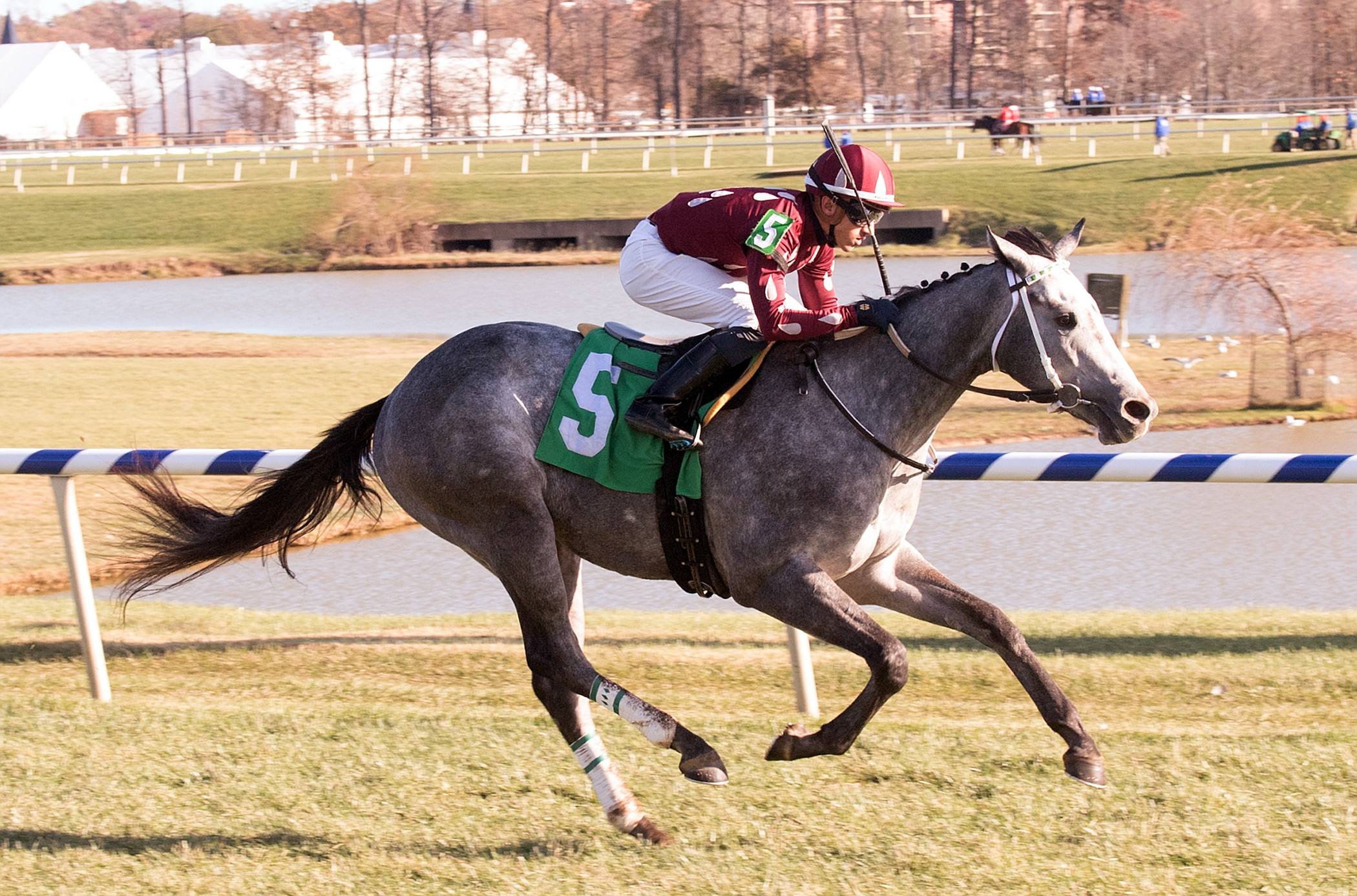 Clouded Judgement wins a maiden race at Laurel Park