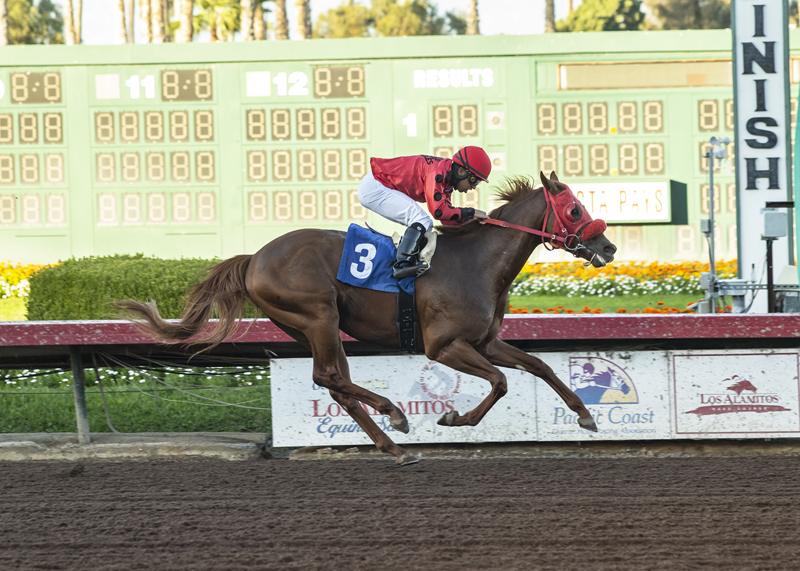 Club Aspen wins the 2019 King Glorious Stakes
