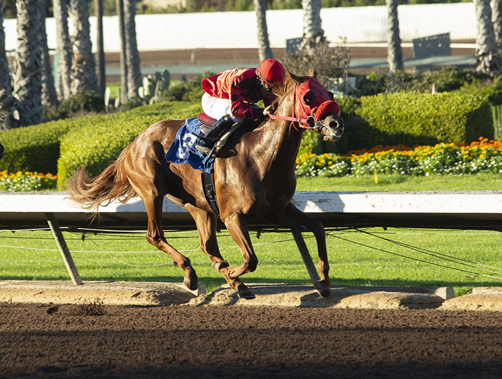 Club Aspen wins the 2019 King Glorious Stakes at Los Alamitos
