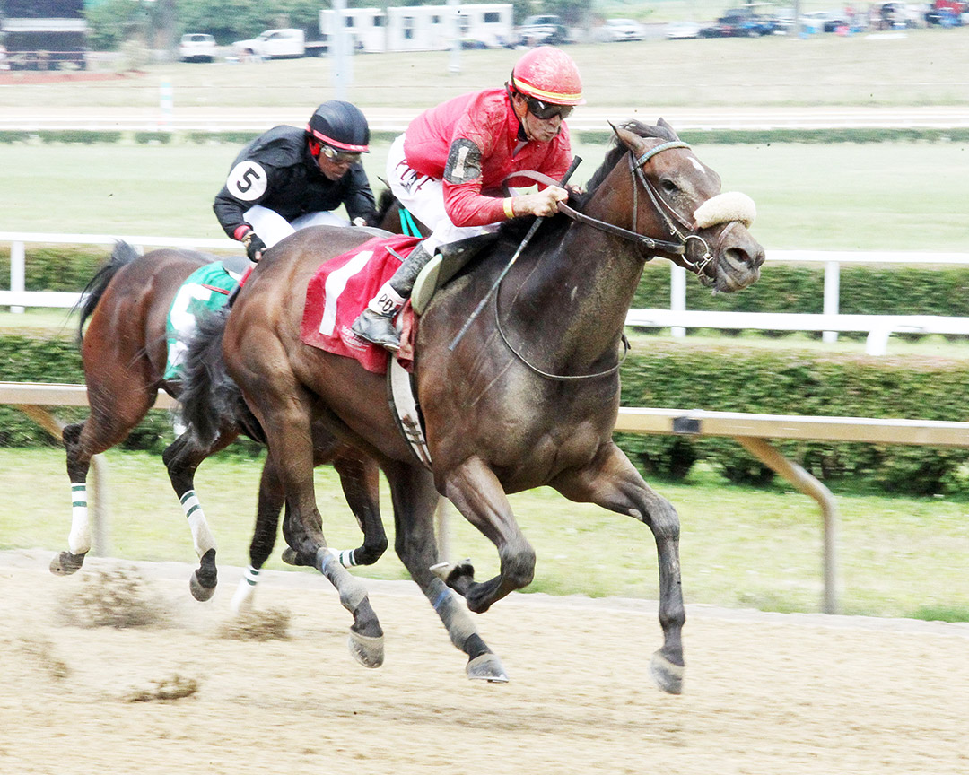 Club Car wins the West Virginia Secretary of State Stakes at Mountaineer