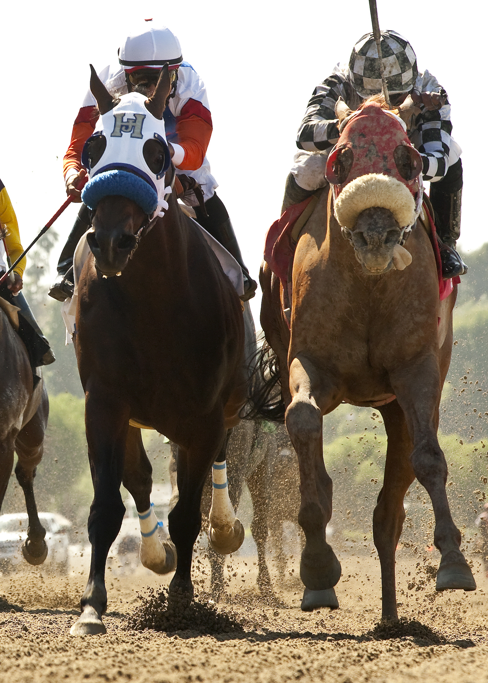 Clubhouse Ride won 2014 Californian