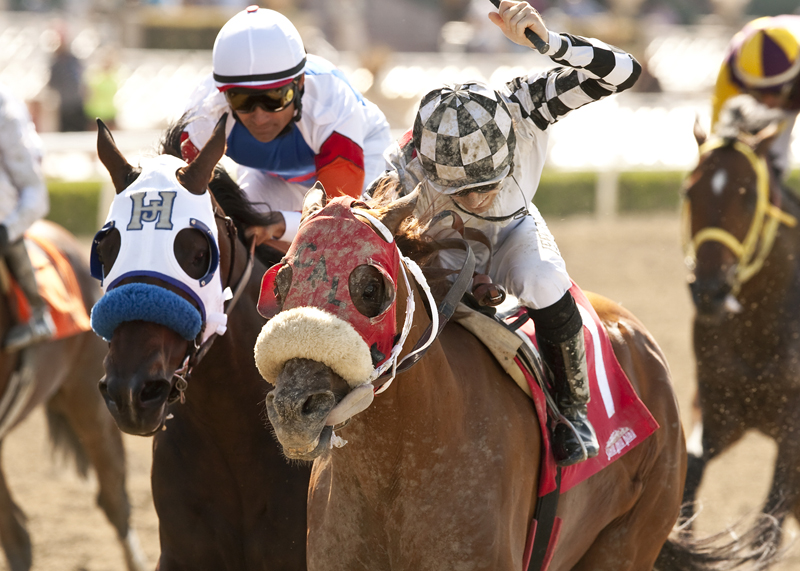 Clubhouse Ride wins 2014 Californian