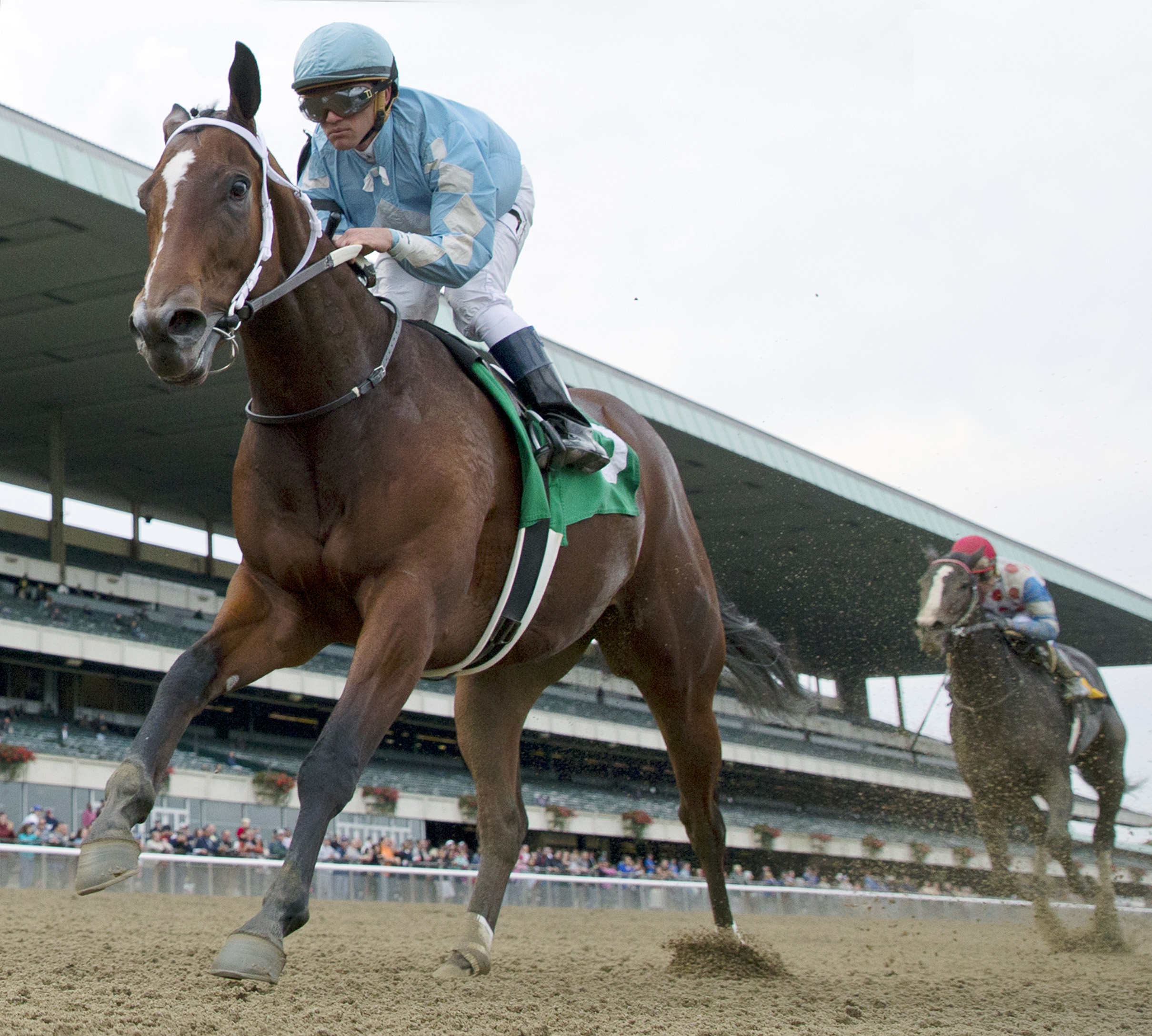 Cluster of Stars wins the Iroquois