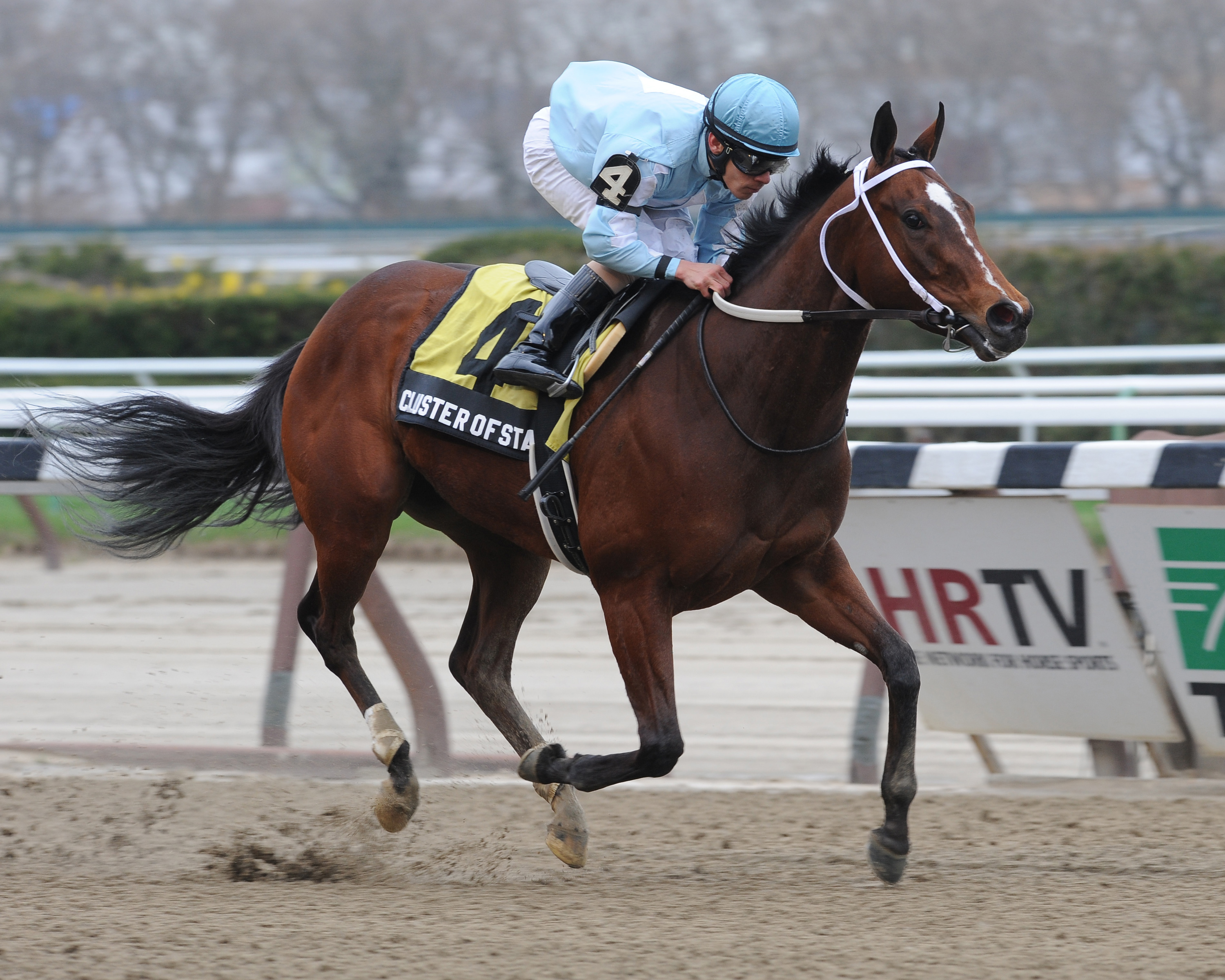 Cluster of Stars, Distaff Handicap