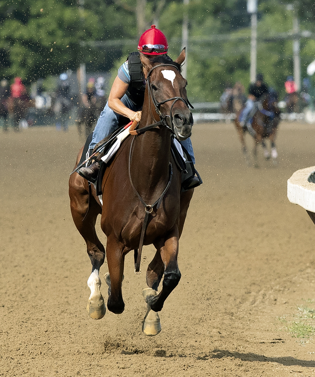 Coach Rocks trains at Saratoaga on July 21