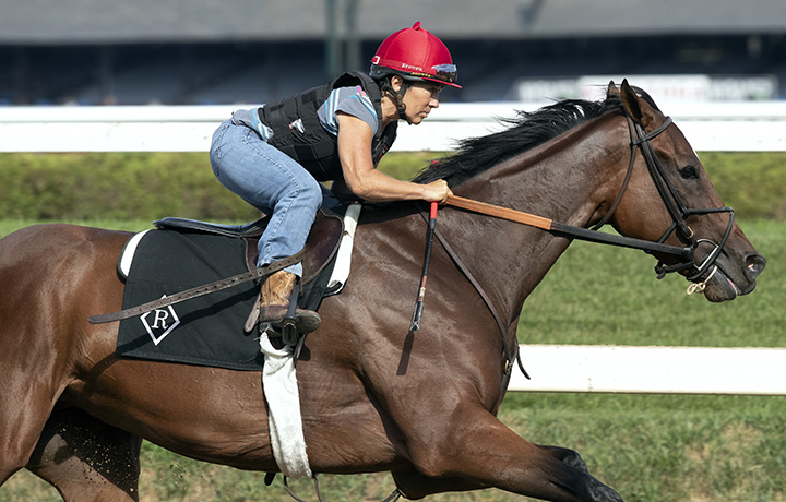 Coach Rocks trains at Saratoga in July 2018