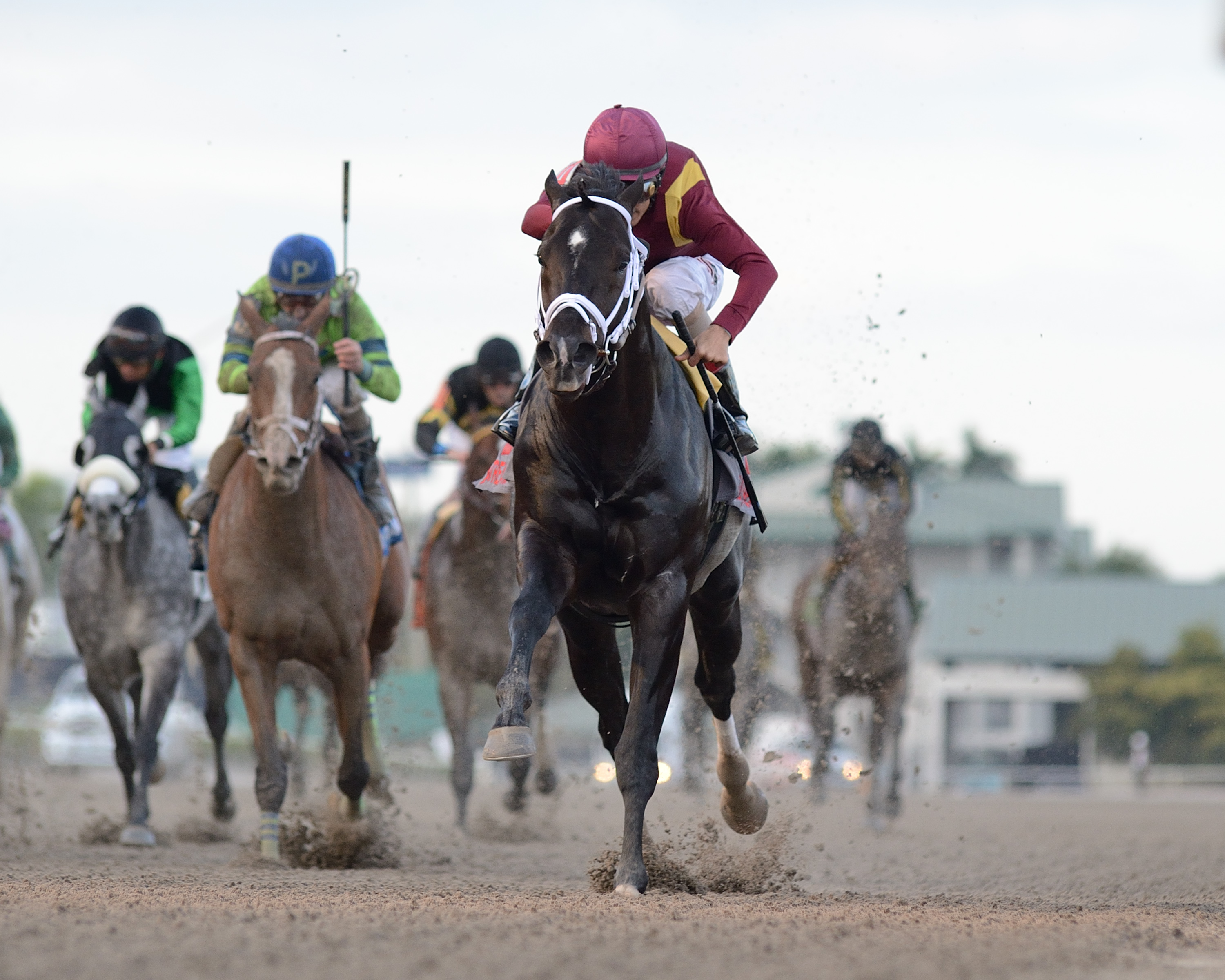 Coal Front wins 2018 Mr. Prospector