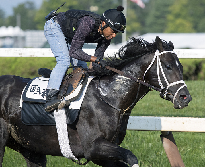 Coal Front trains at Saratoga on Aug. 26