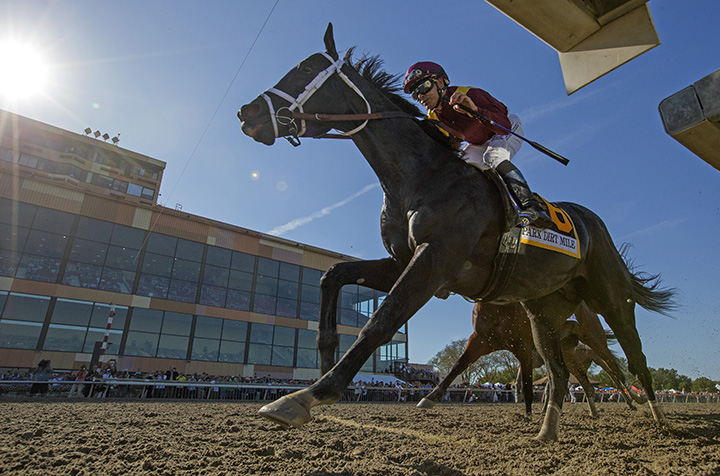 Coal Front wins the 2019 Parx Dirt Mile at Parx Racing