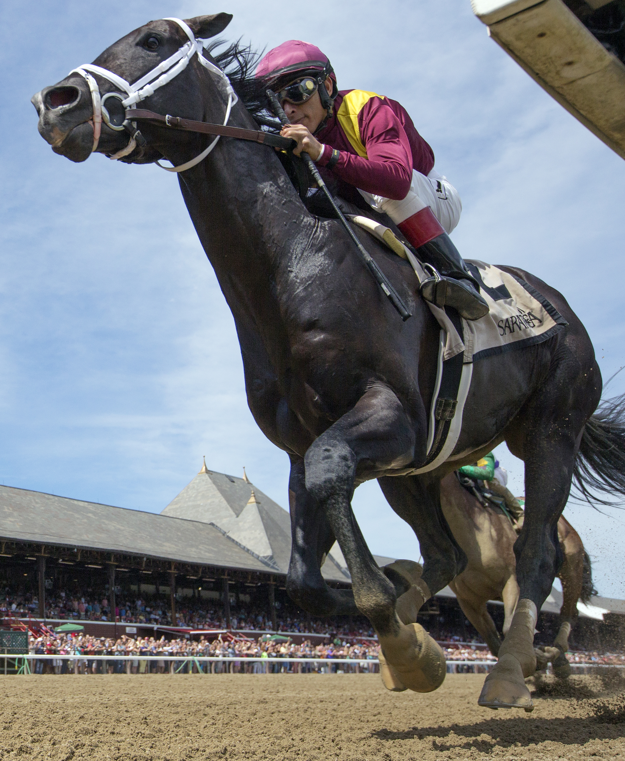 Coal Front wins the 2017 Amsterdam Stakes