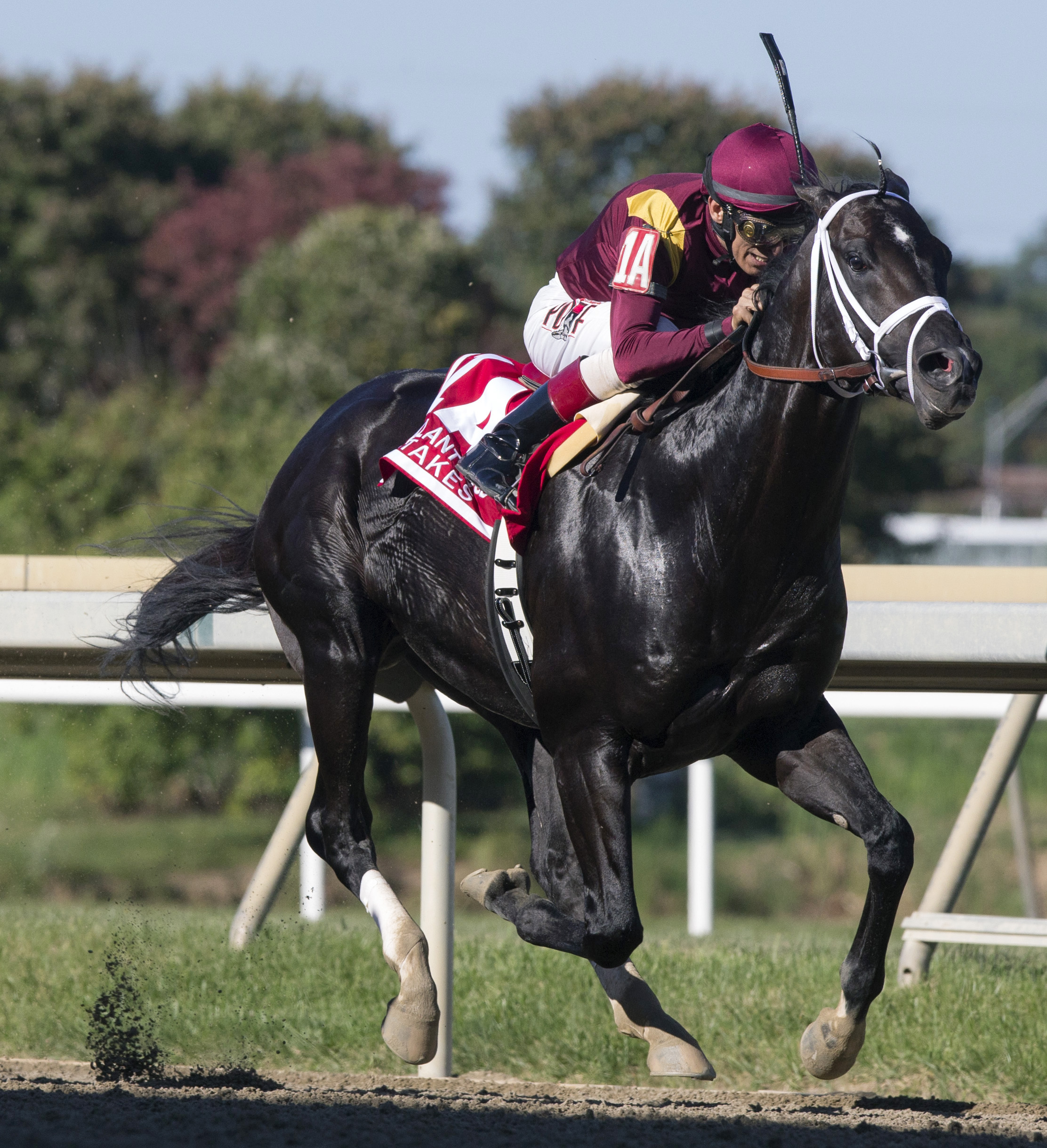 Coal Front wins the 2017 Gallant Bob Stakes