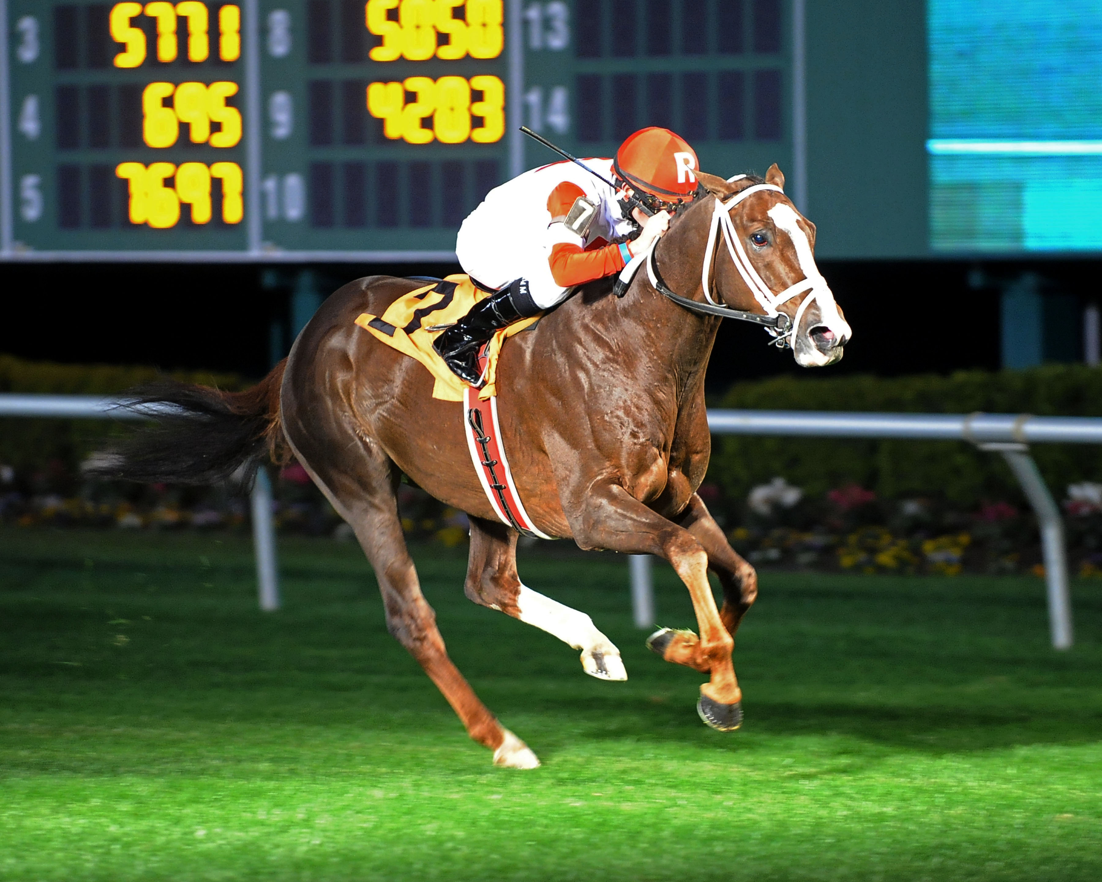 Coalport wins the 2015 John B. Connally Turf Cup
