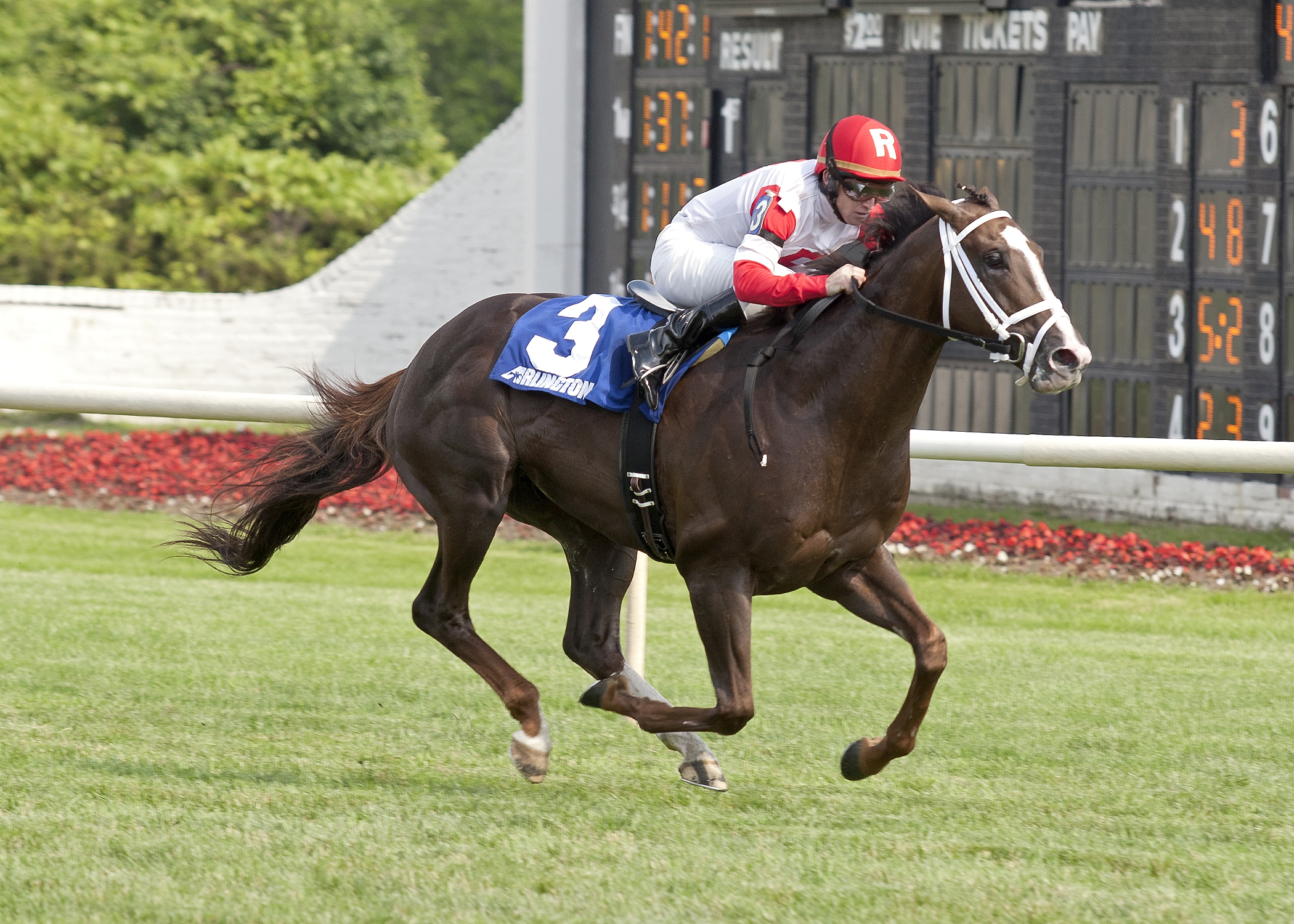 Coalport wins the Black Tie Affair Handicap
