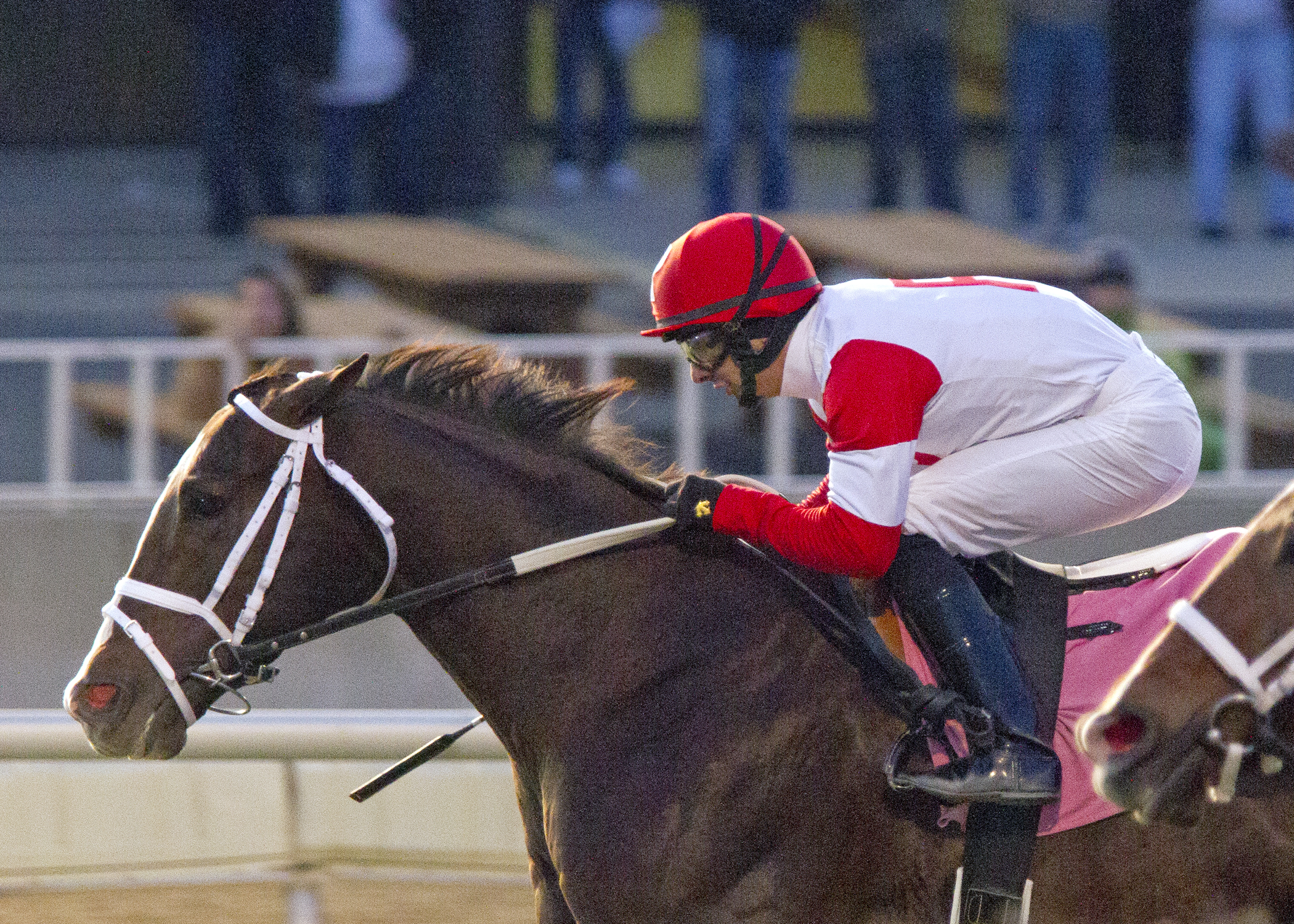 Coalport wins the Buck's Boy Handicap
