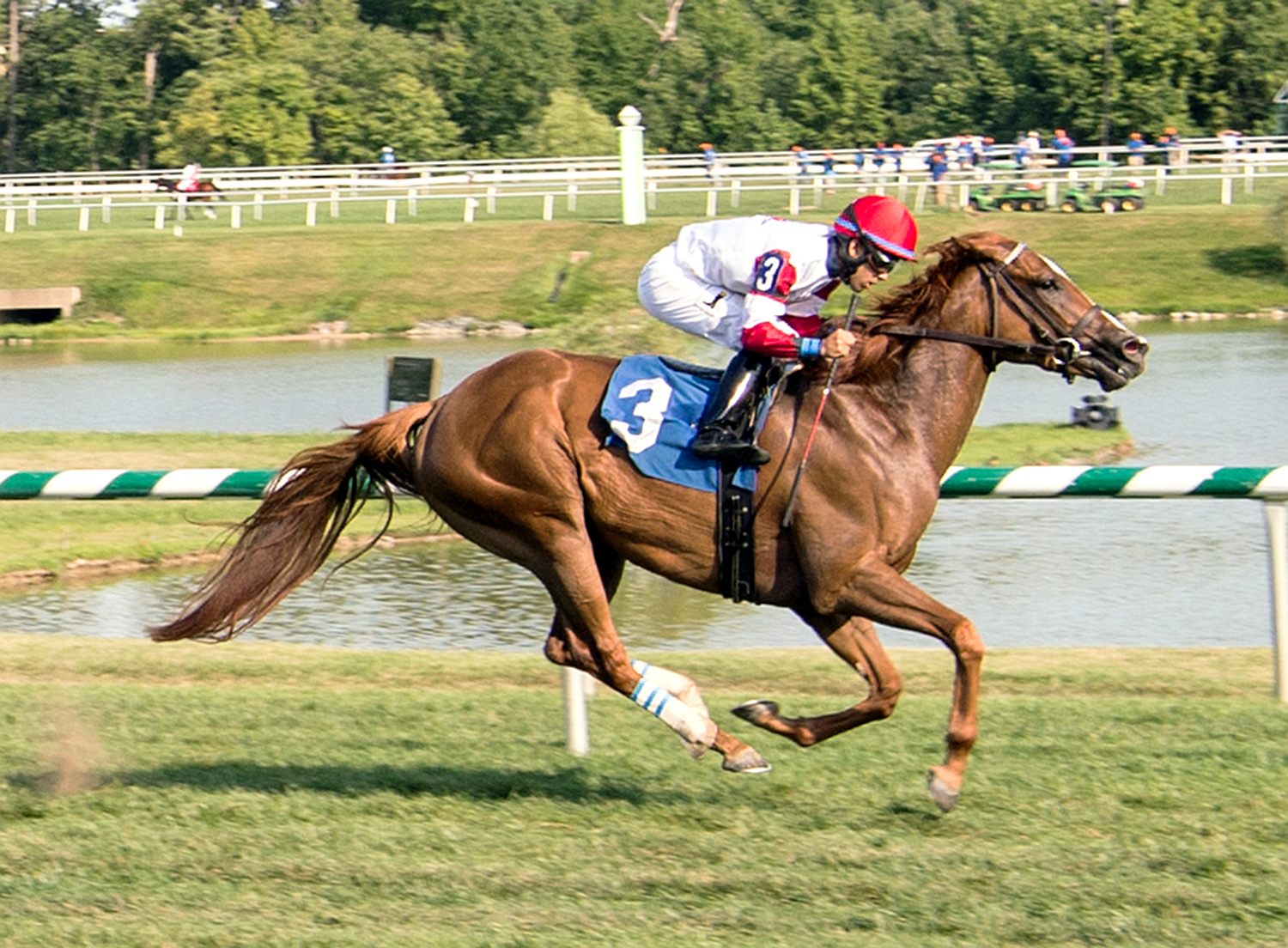 Coastal Sea wins an allowance race on July 24