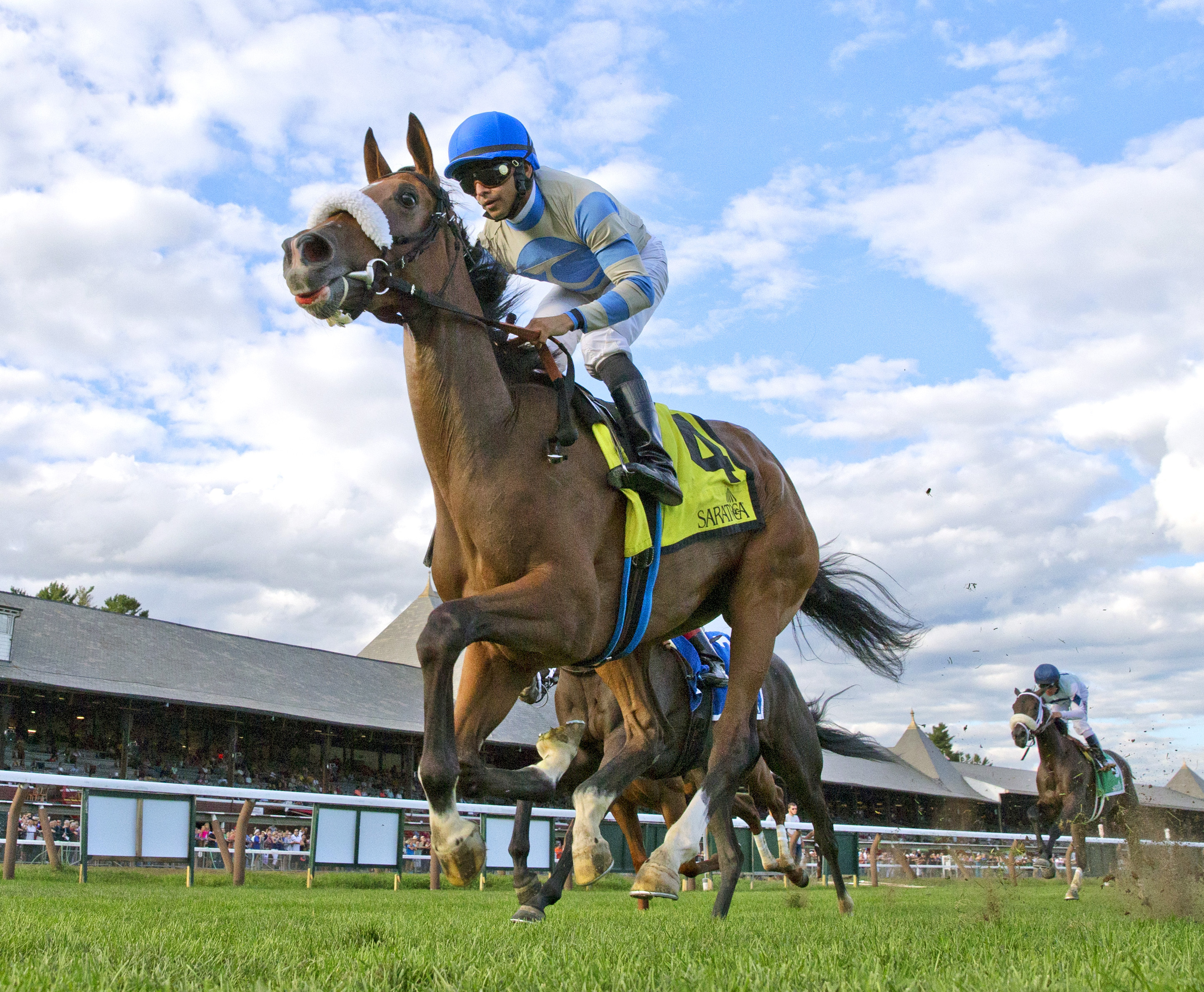 Coasted wins the P.G. Johnson Stakes