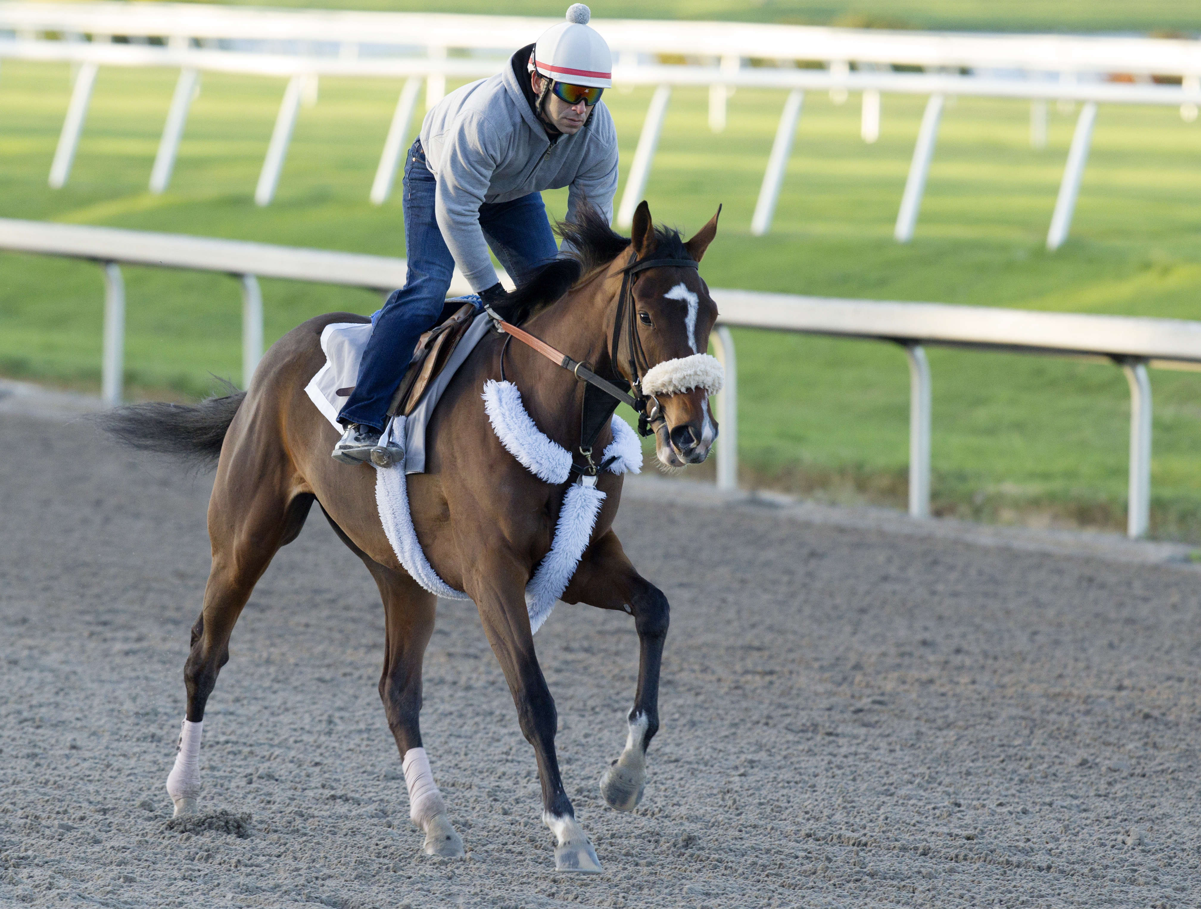 Coasted training at Gulfstream on Jan. 8