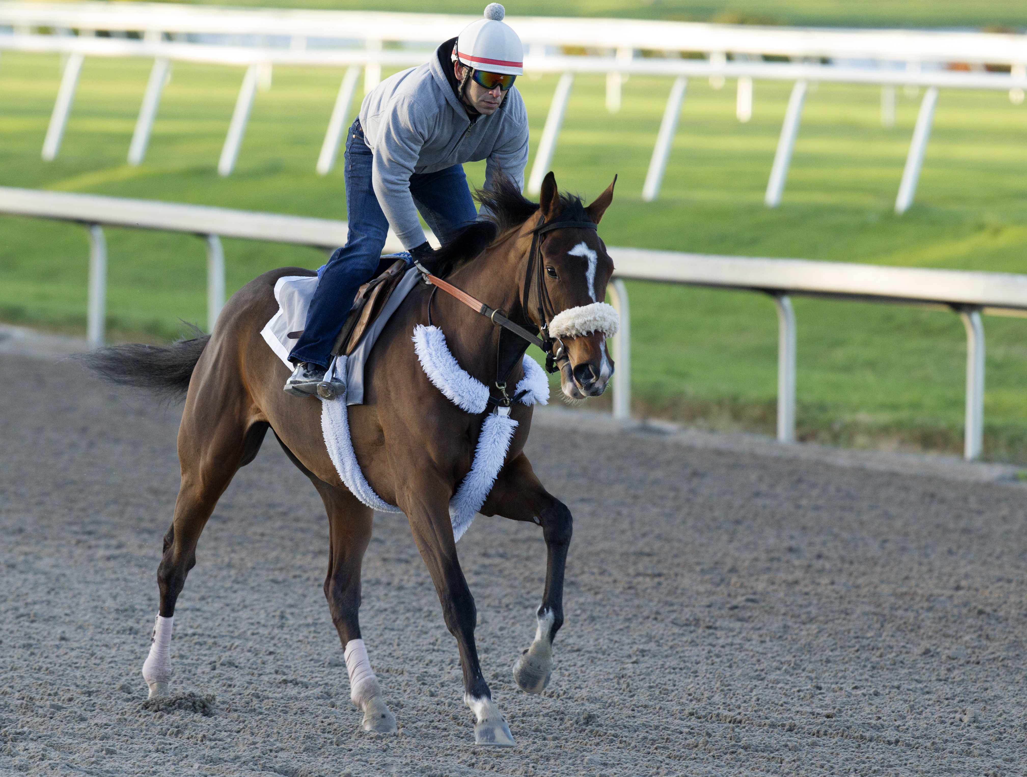 Coasted training at Gulfstream on Jan. 8