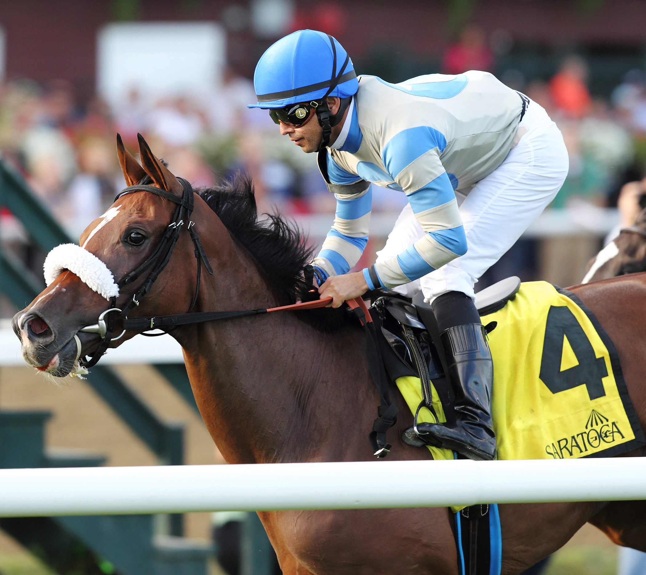 Coasted wins the P.G. Johnson Stakes