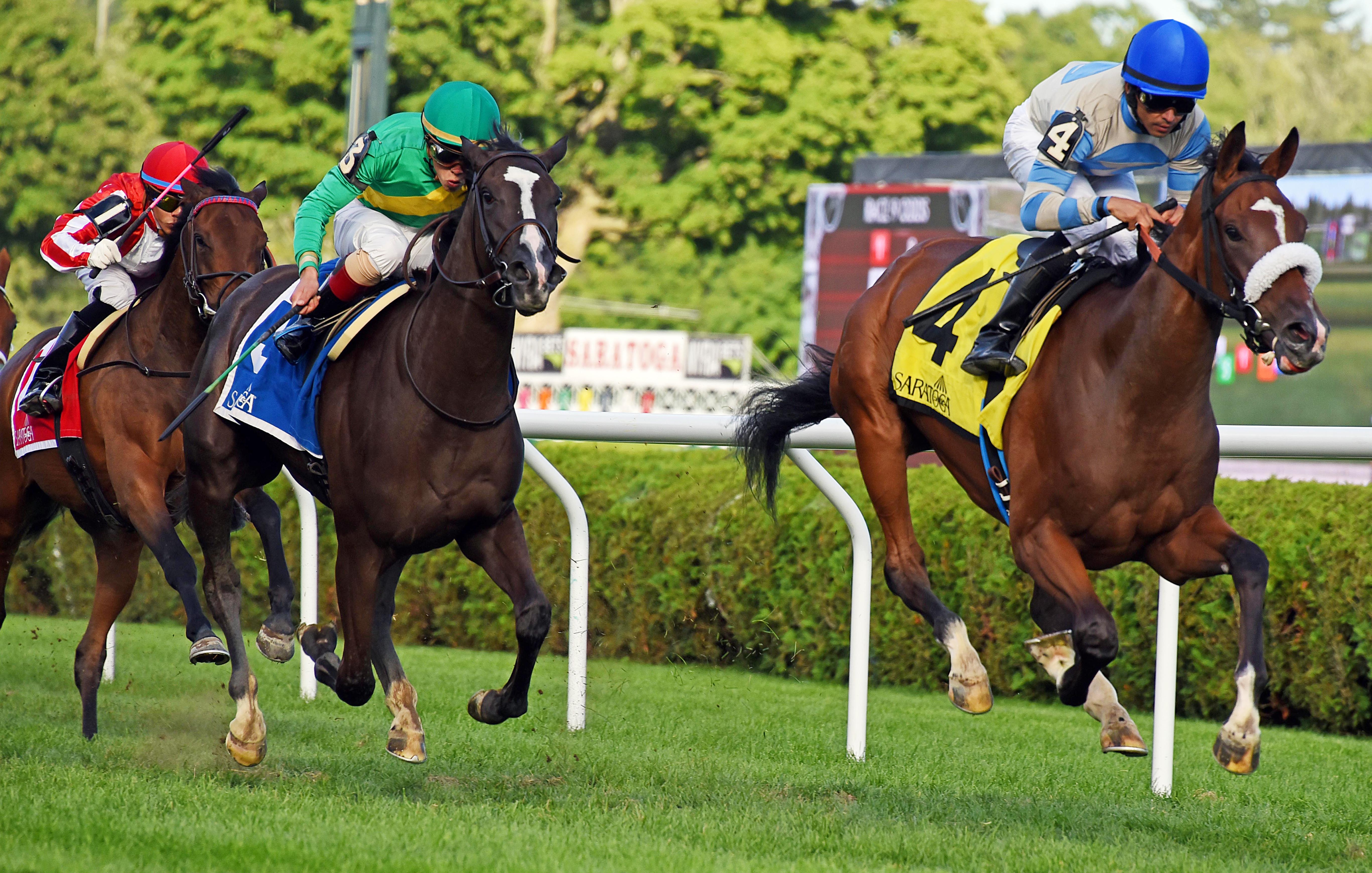 Noble Ready finishes second in the 2016 P. G. Johnson Stakes