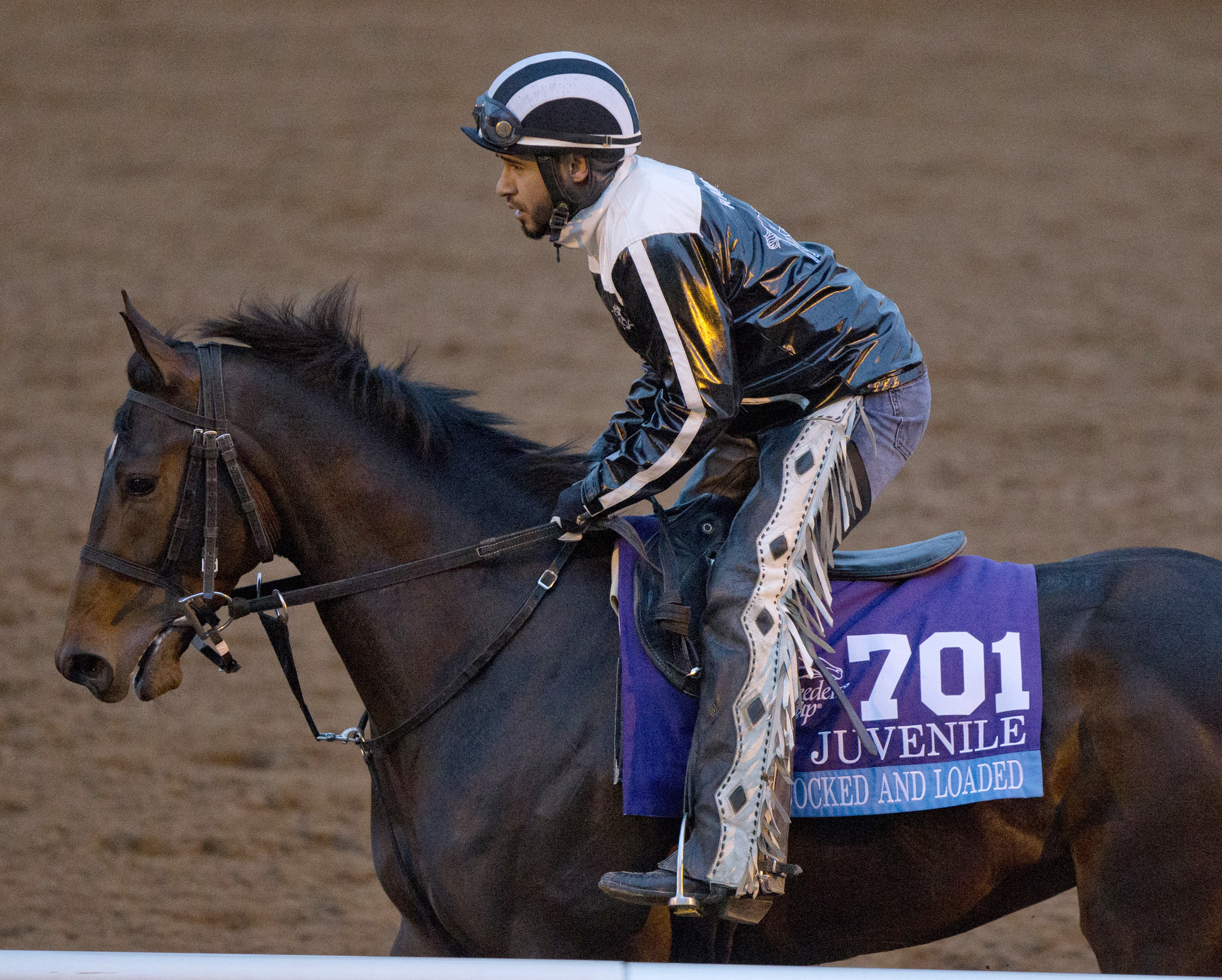 Cocked and Loaded at Keeneland in October 2015