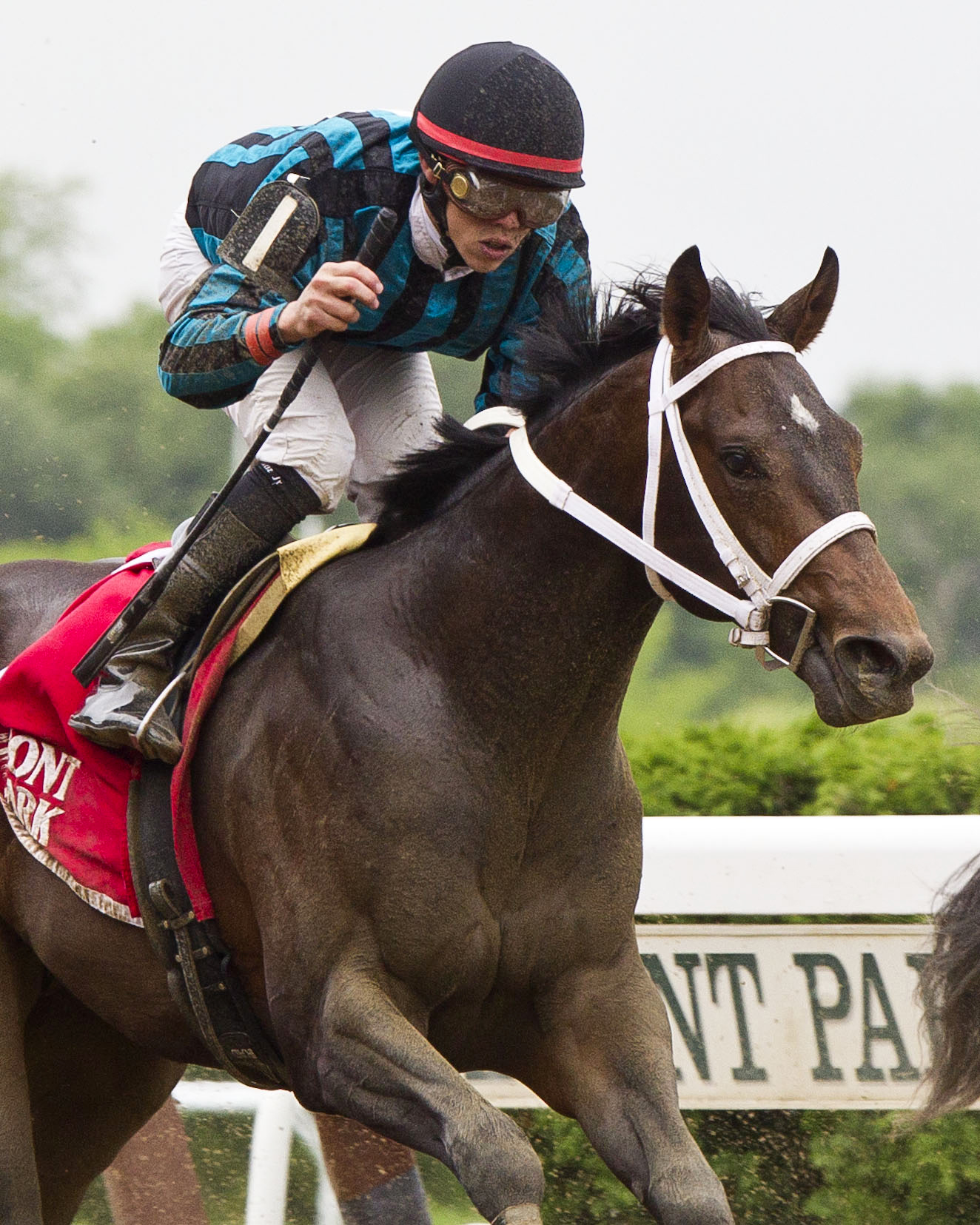 Cocked and Loaded wins the Tremont Stakes