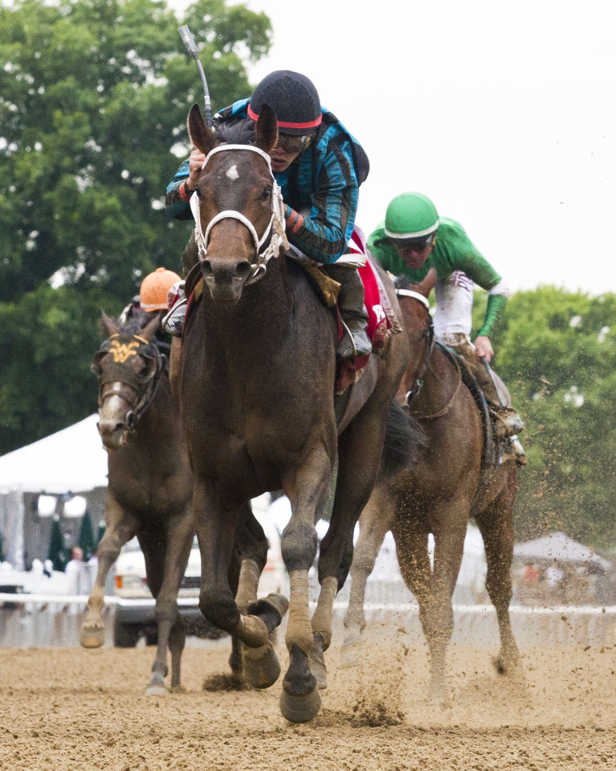 Cocked and Loaded wins the Tremont Stakes