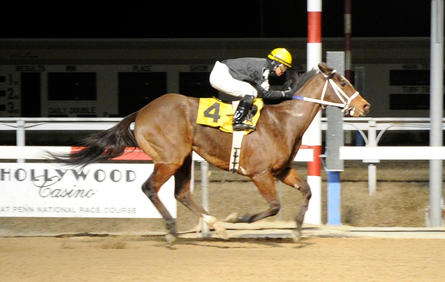 Cockeyed Cowboy 3-13-14