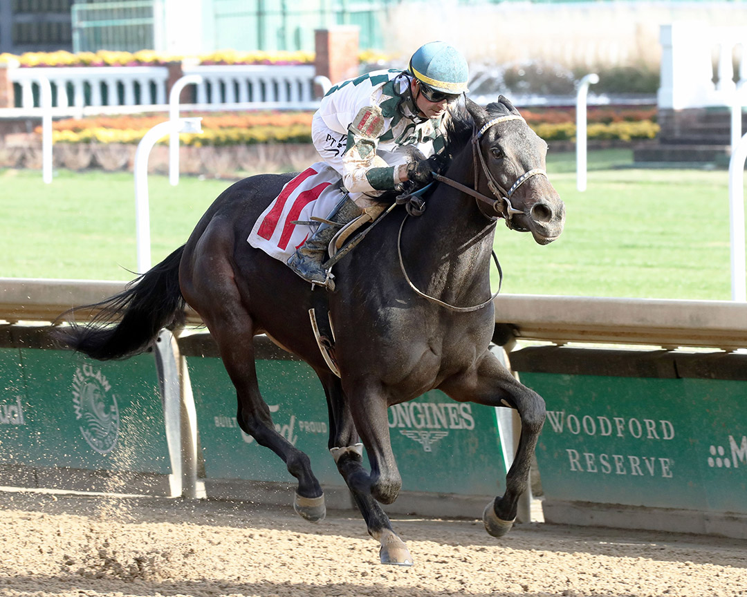 Cocktail Moments wins a Nov. 27 maiden race at Churchill Downs