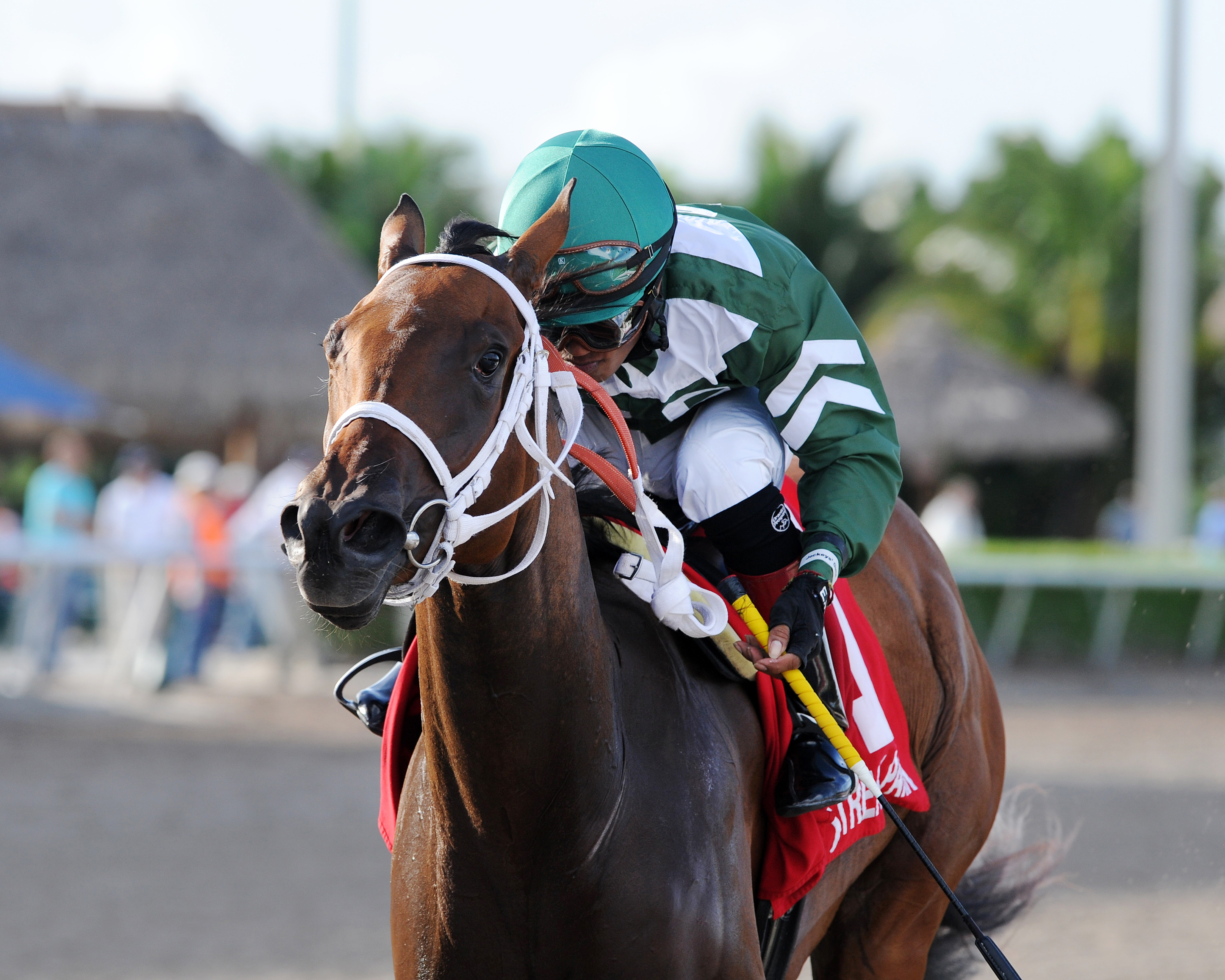 Coco's Wildcat wins the Cassidy Stakes